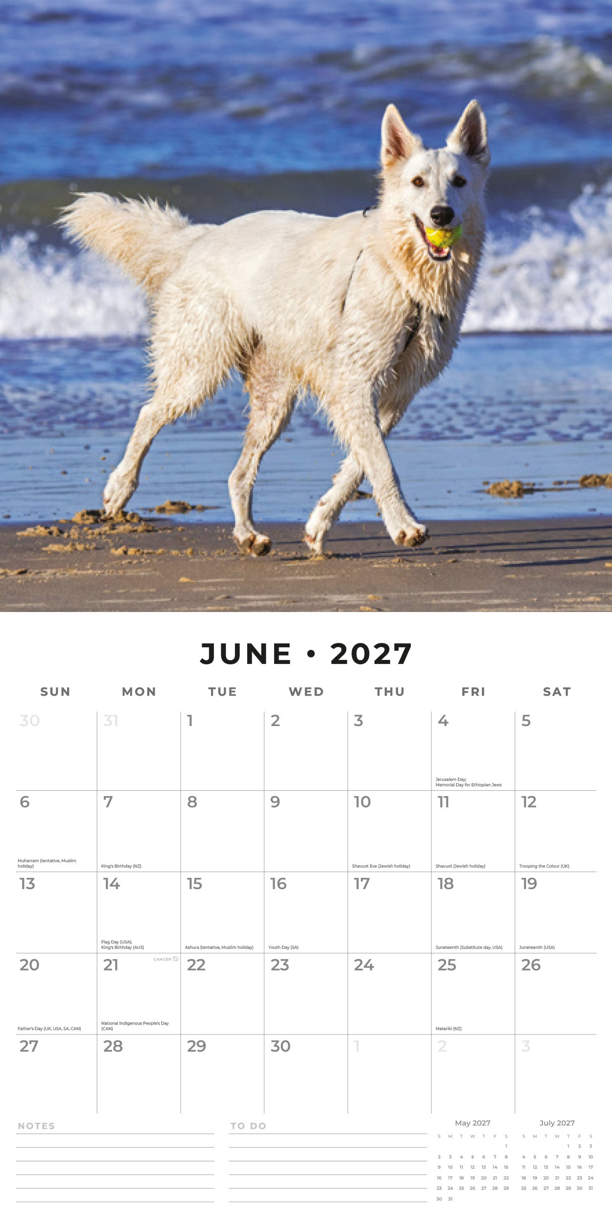 2027 White German Shepherds - Square Wall Calendar