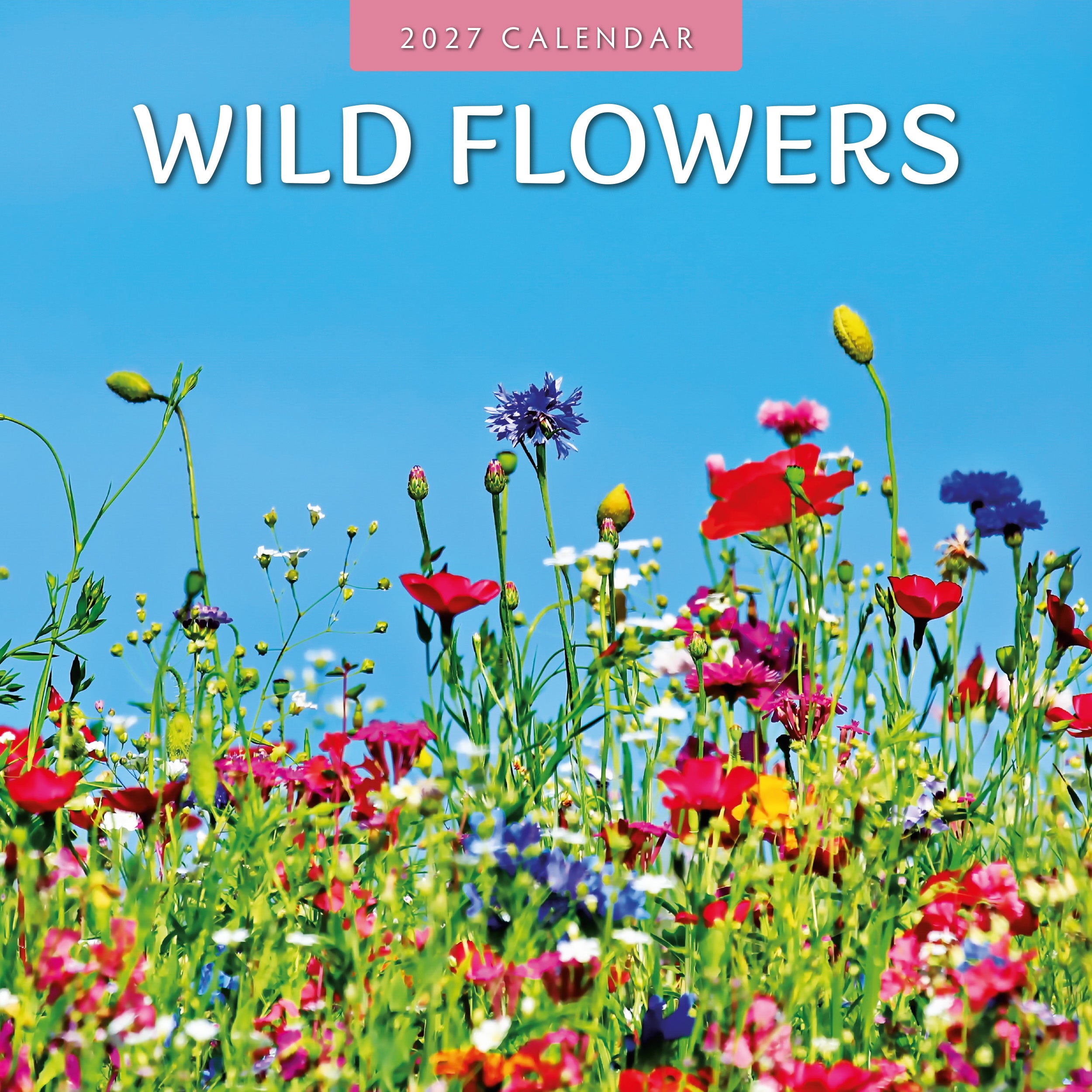 2027 Wild Flowers - Square Wall Calendar