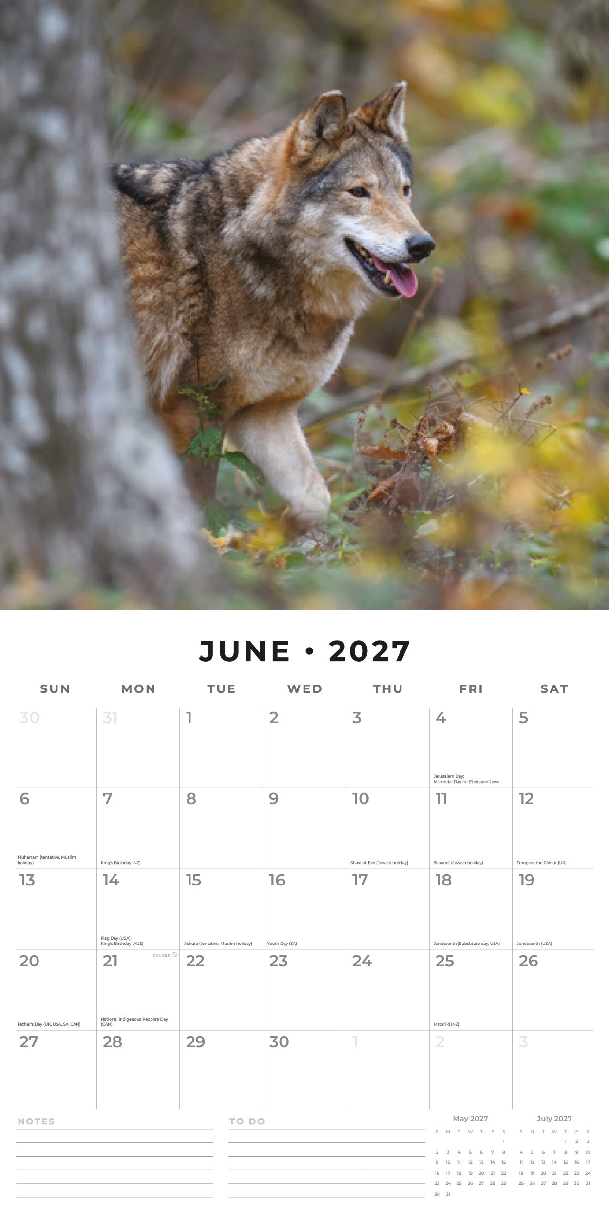 2027 Wolves - Square Wall Calendar