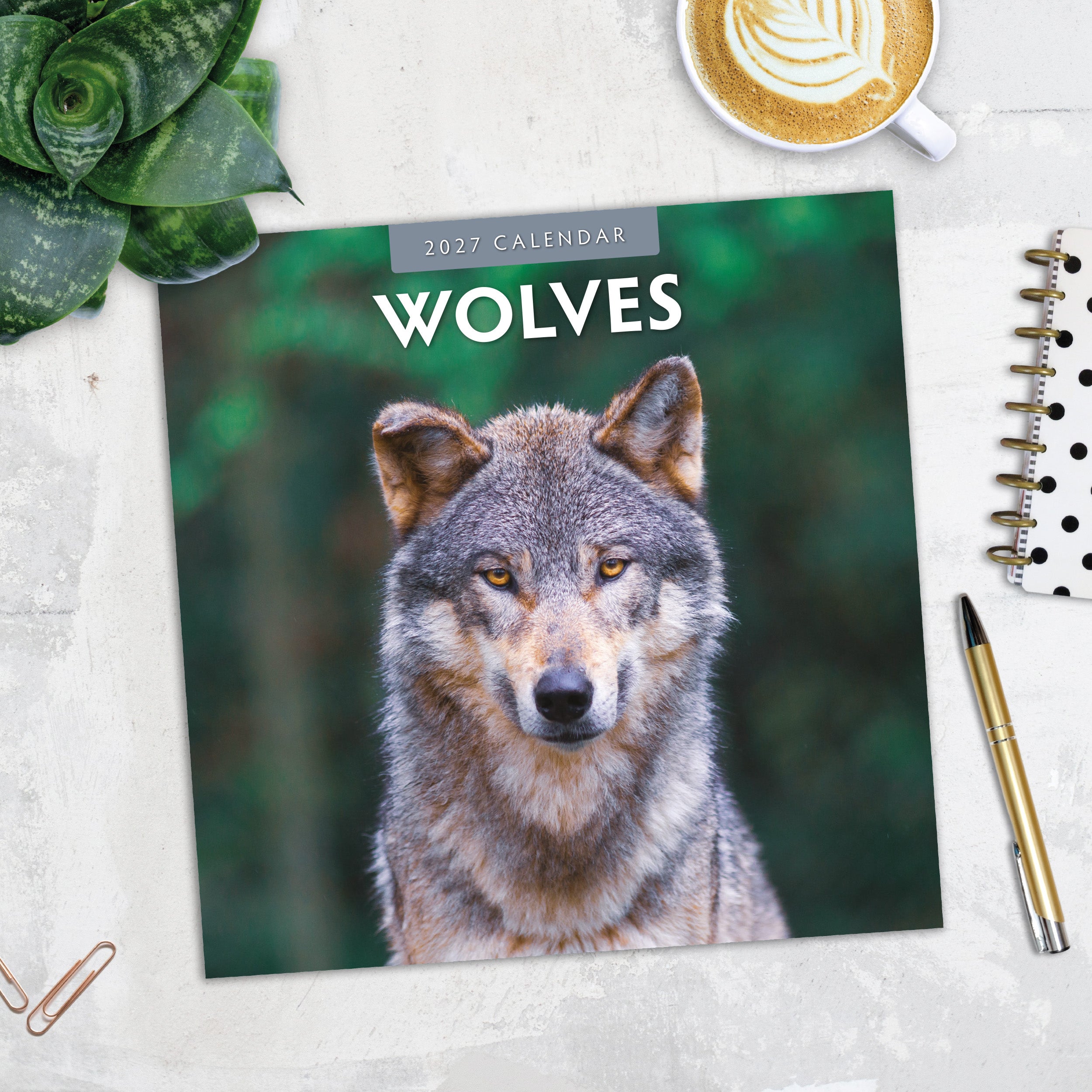 2027 Wolves - Square Wall Calendar
