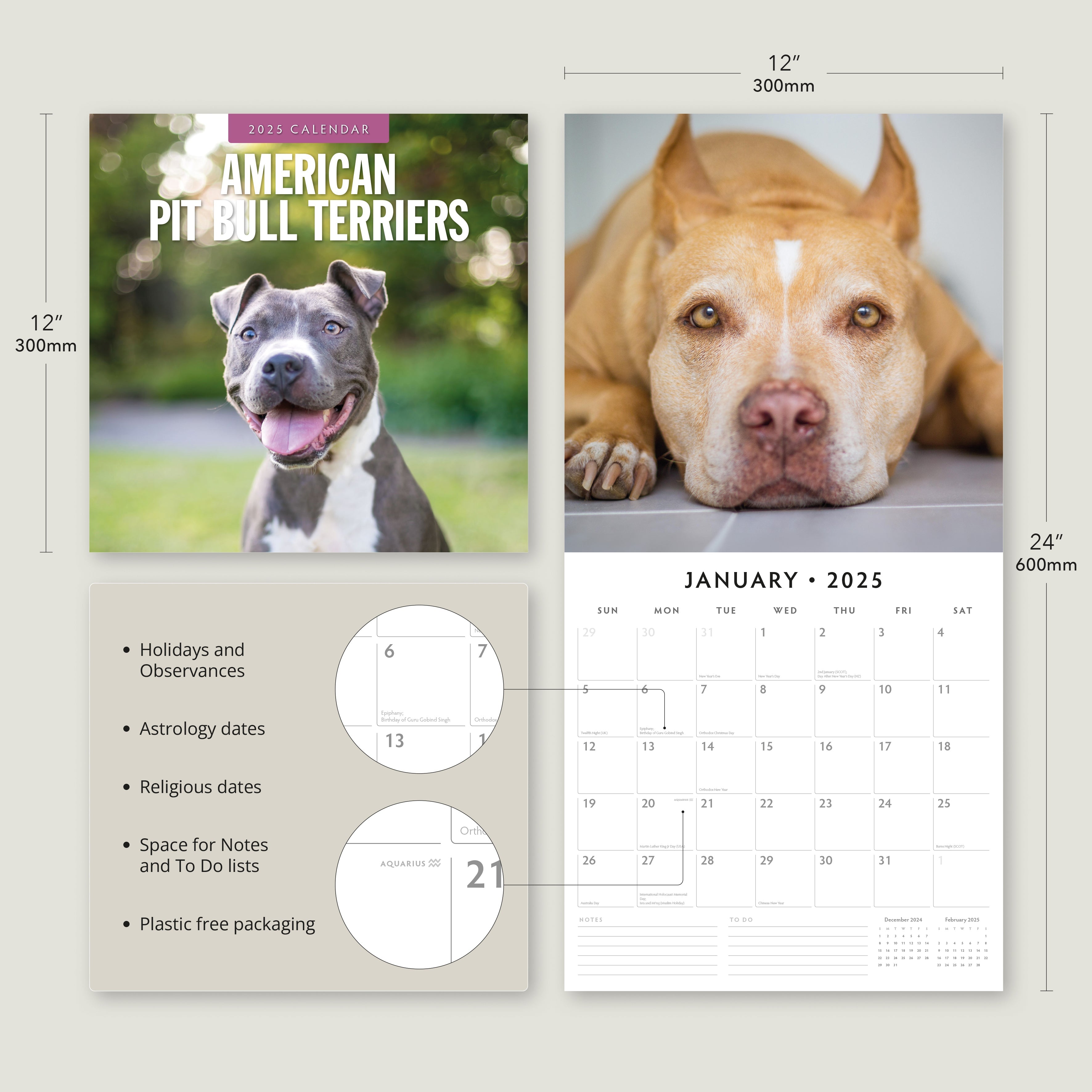 2025 American Pit Bull Terriers - Square Wall Calendar