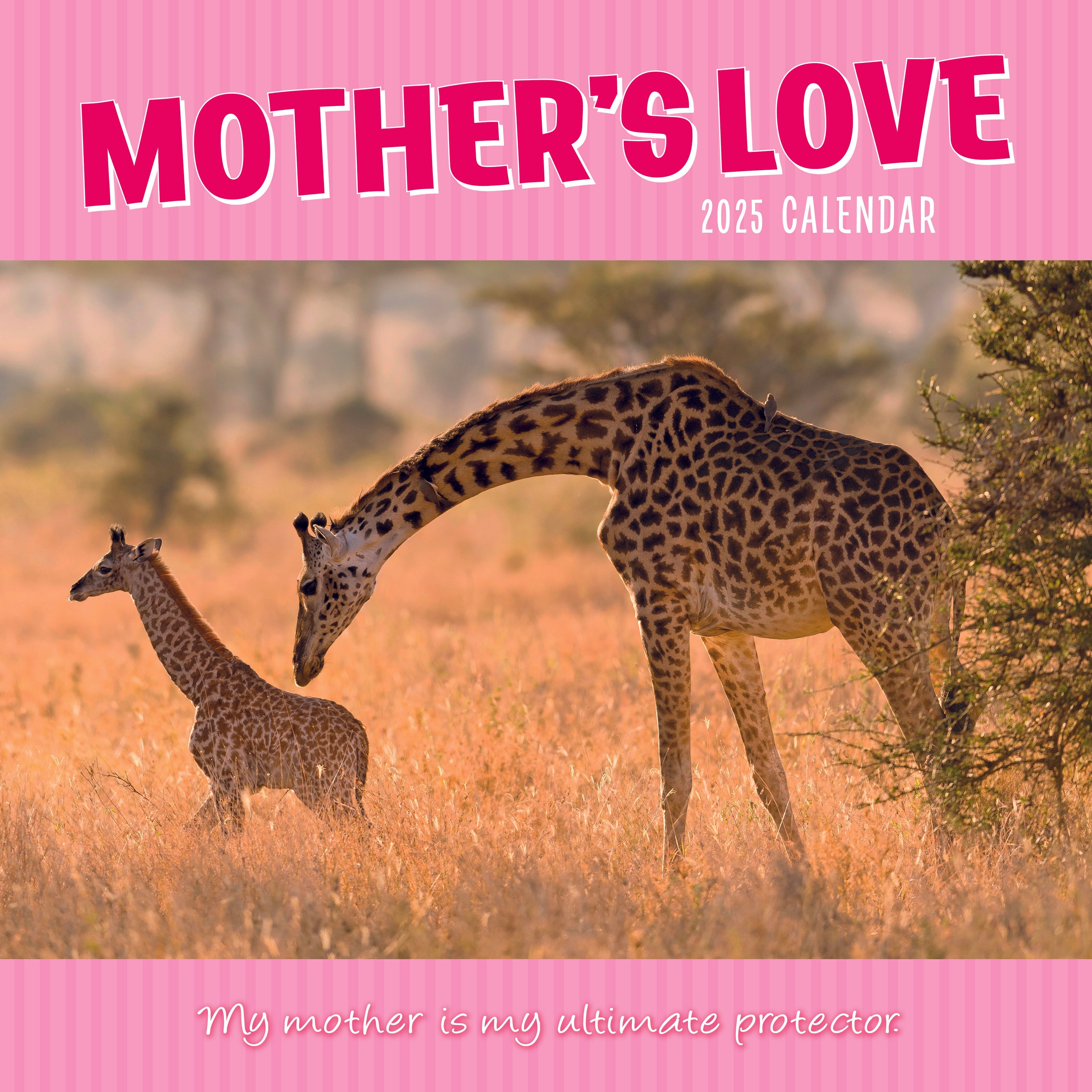2025 Mother's Love - Square Wall Calendar