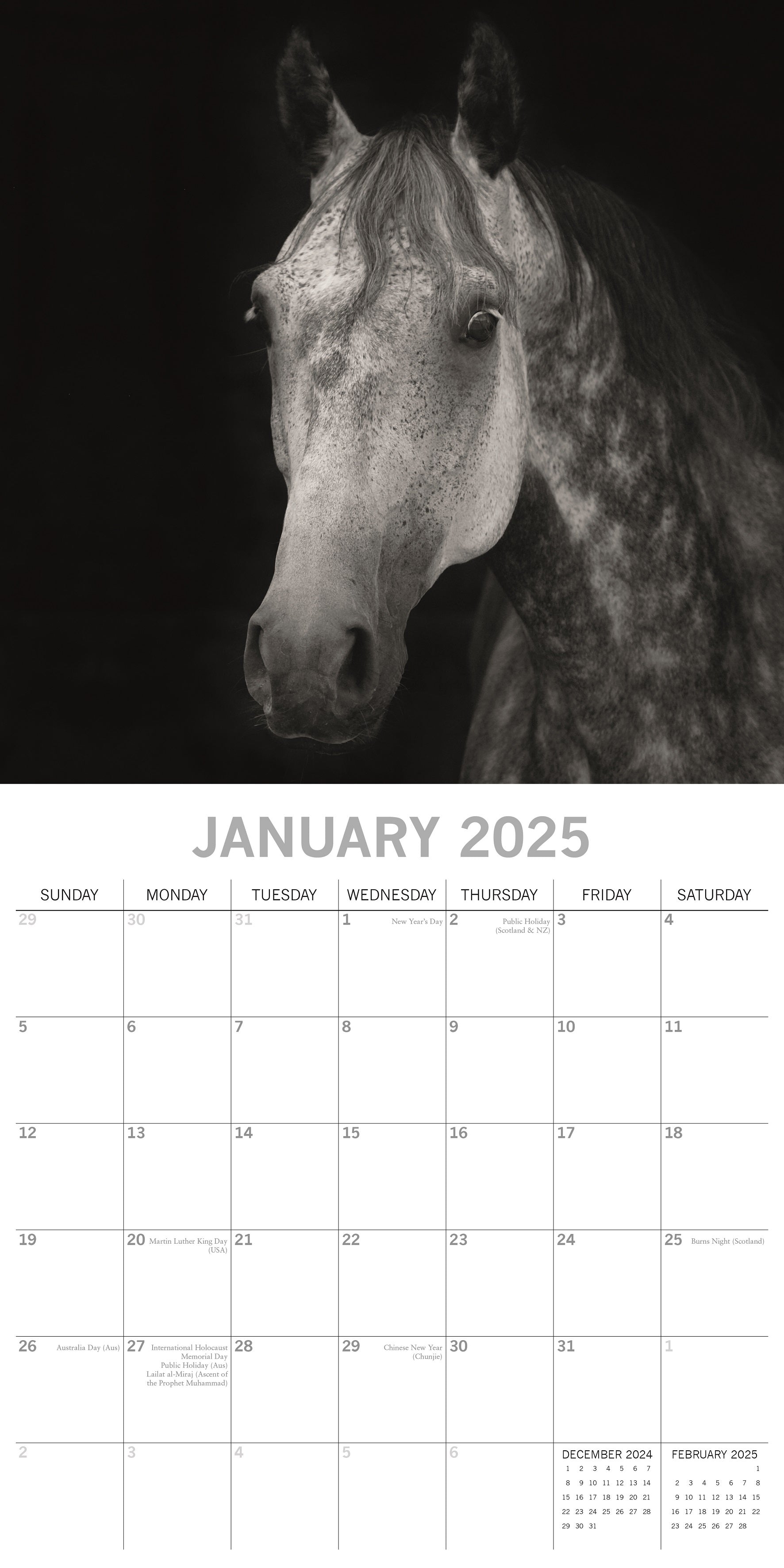 2025 Horse Portraits - Square Wall Calendar