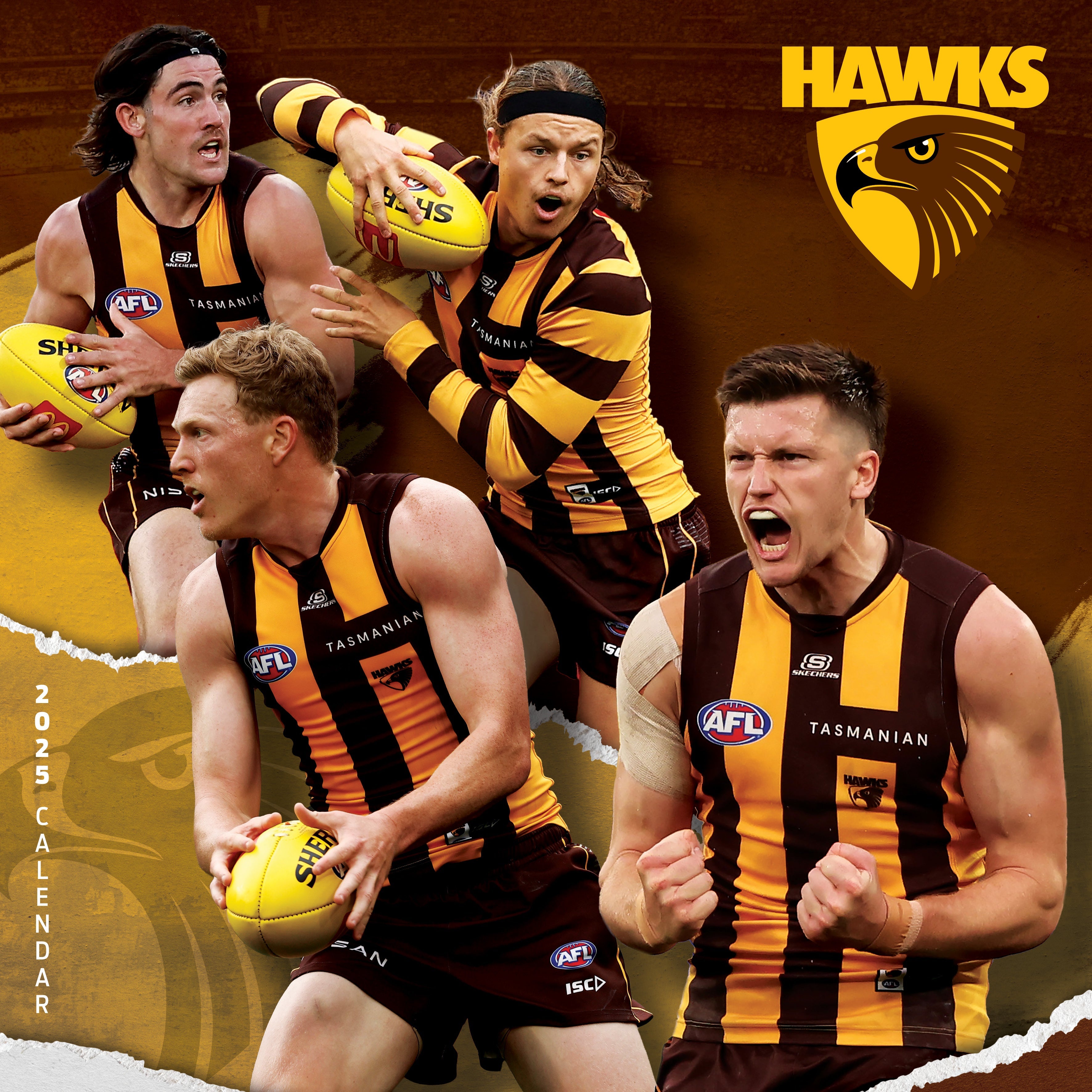 2025 AFL Hawthorn Hawks - Square Wall Calendar