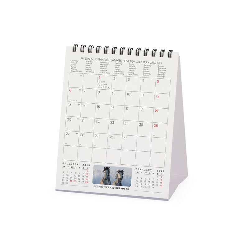 2025 Wild Horses - Desk Easel Calendar