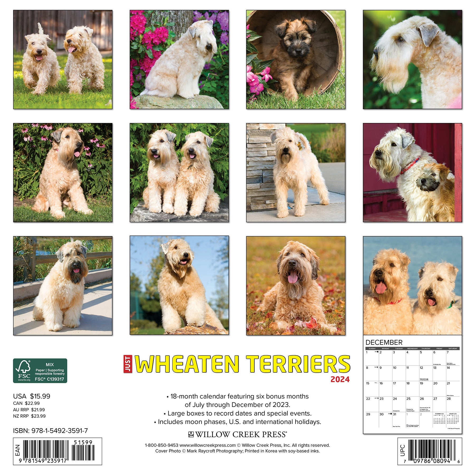 2024 Just Wheaton Terriers - Square Wall Calendar