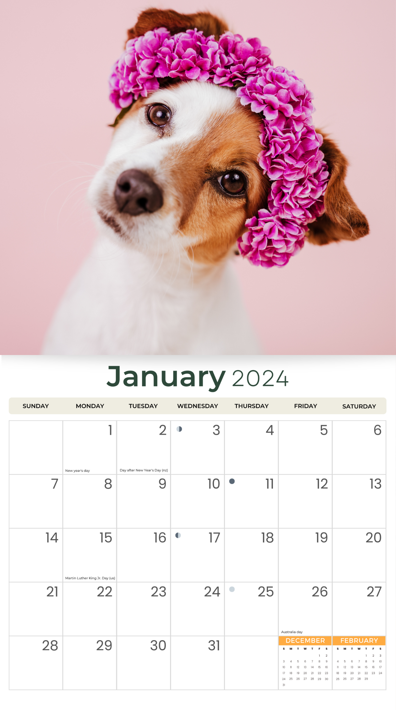 2024 Jack Russells Deluxe Wall Calendar Dogs & Puppies Calendars