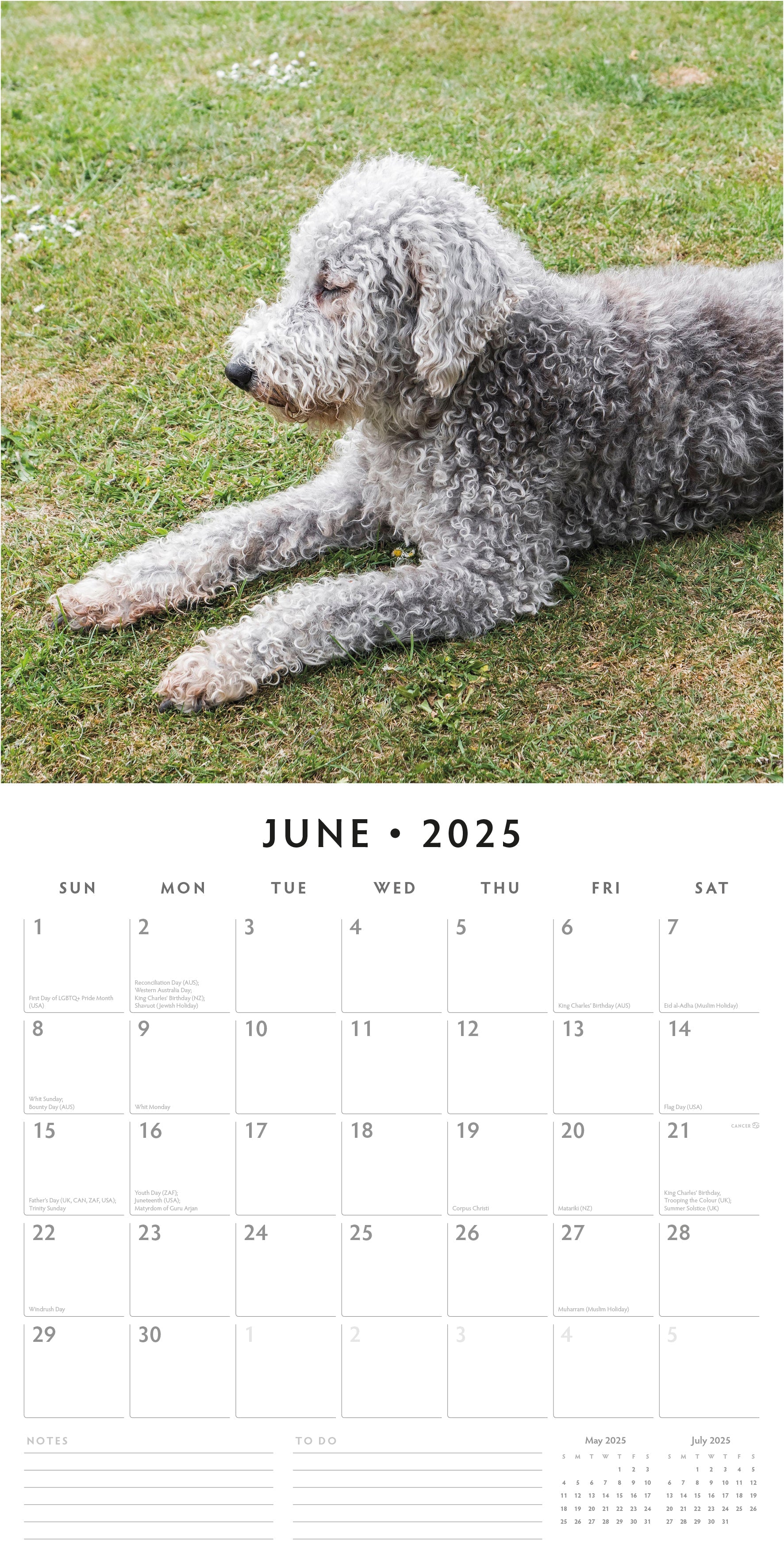 2025 Bedlington Terriers - Square Wall Calendar
