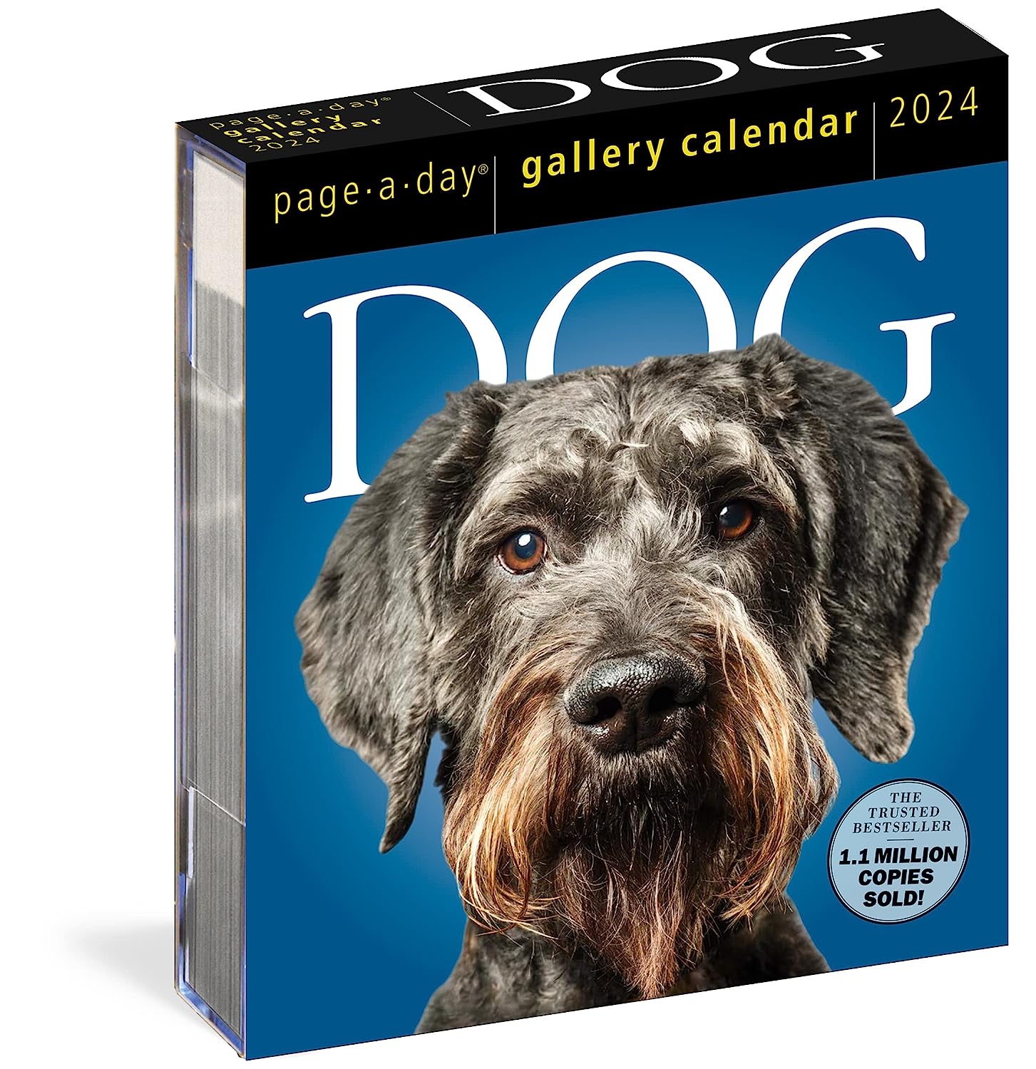 2024 Dog Gallery - Daily Boxed Page-A-Day Calendar  SOLD OUT