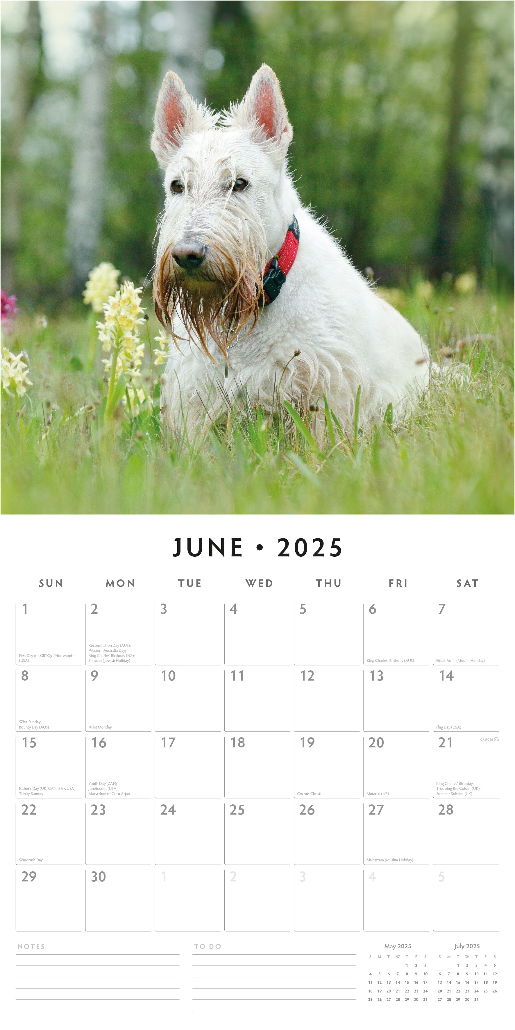 2025 Scottish Terriers - Square Wall Calendar