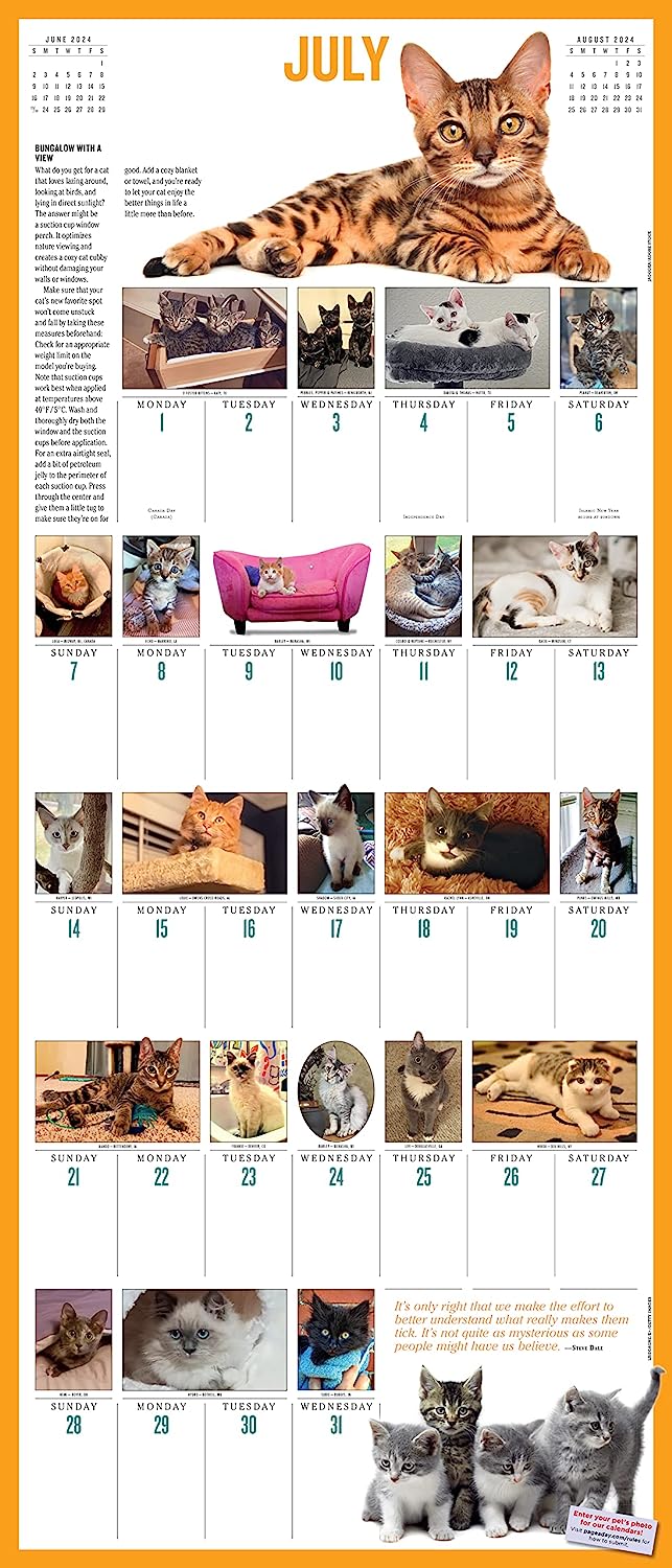 2024 365 Kittens-A-Year - Deluxe Wall Calendar  SOLD OUT