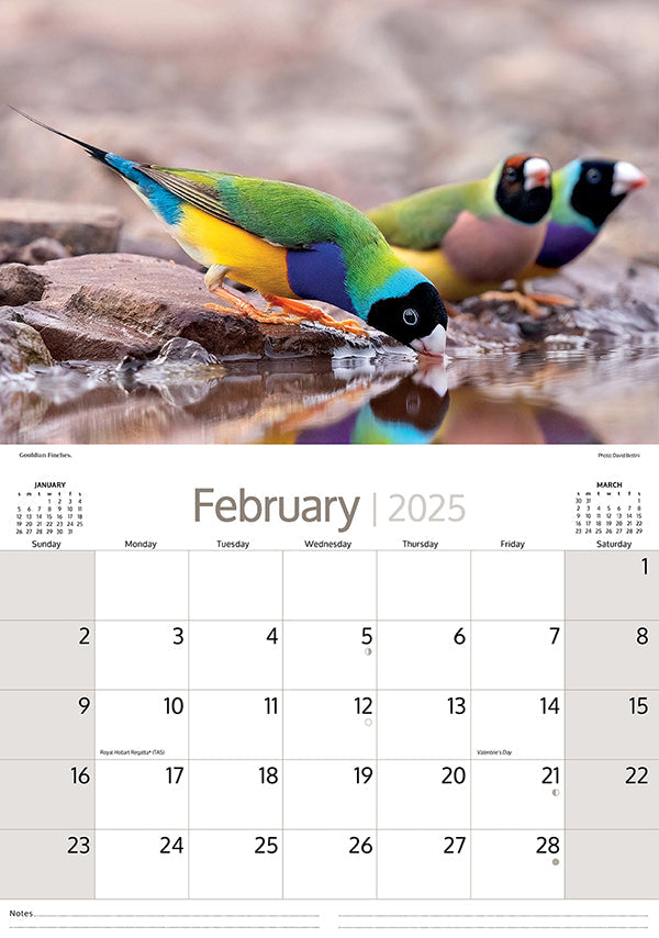 2025 Australian Birds By Artique - Horizontal Wall Calendar
