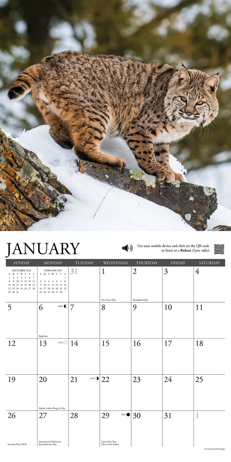 2025 Call of the Wild - Square Wall Calendar