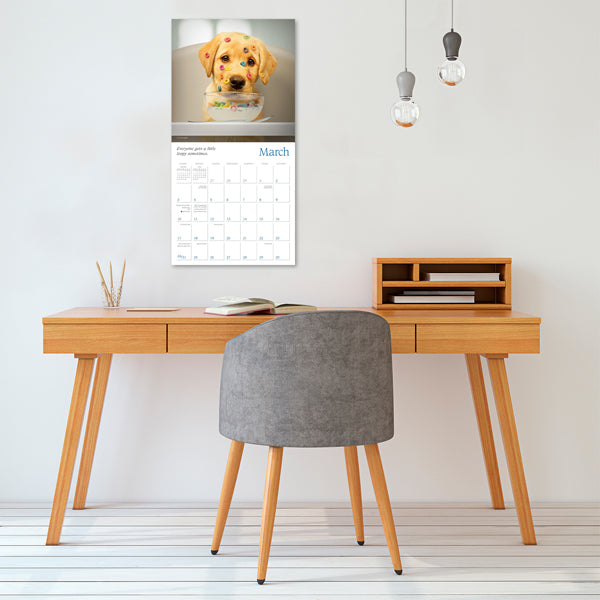 2024 Dogma: A Dog's Guide to Life - Square Wall Calendar  SOLD OUT