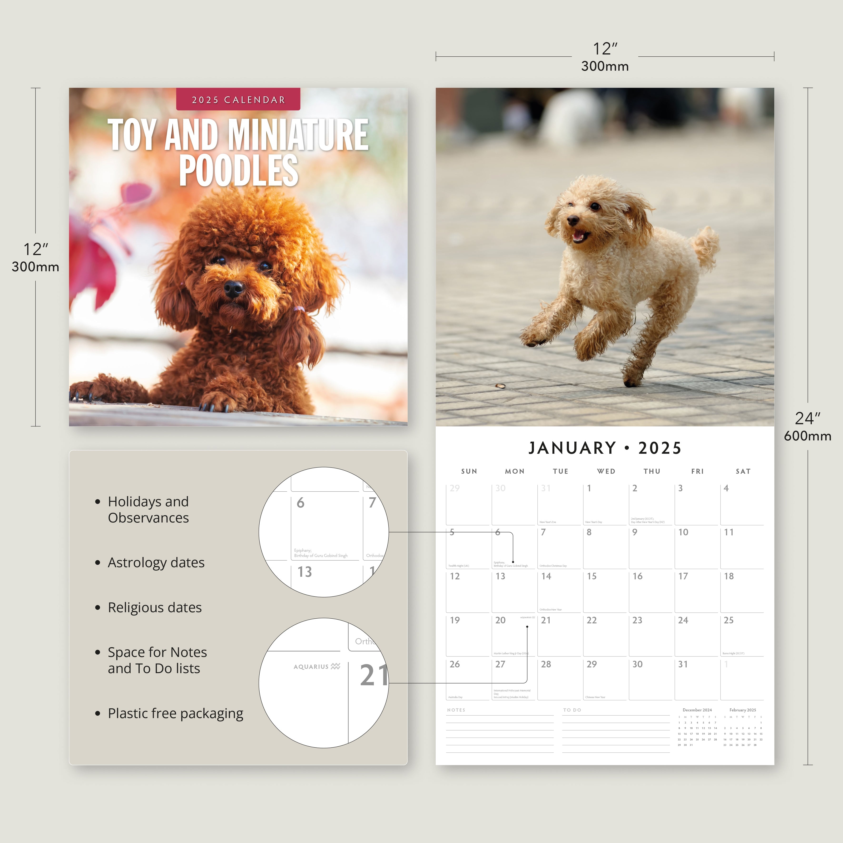 2025 Toy and Miniature Poodles - Square Wall Calendar