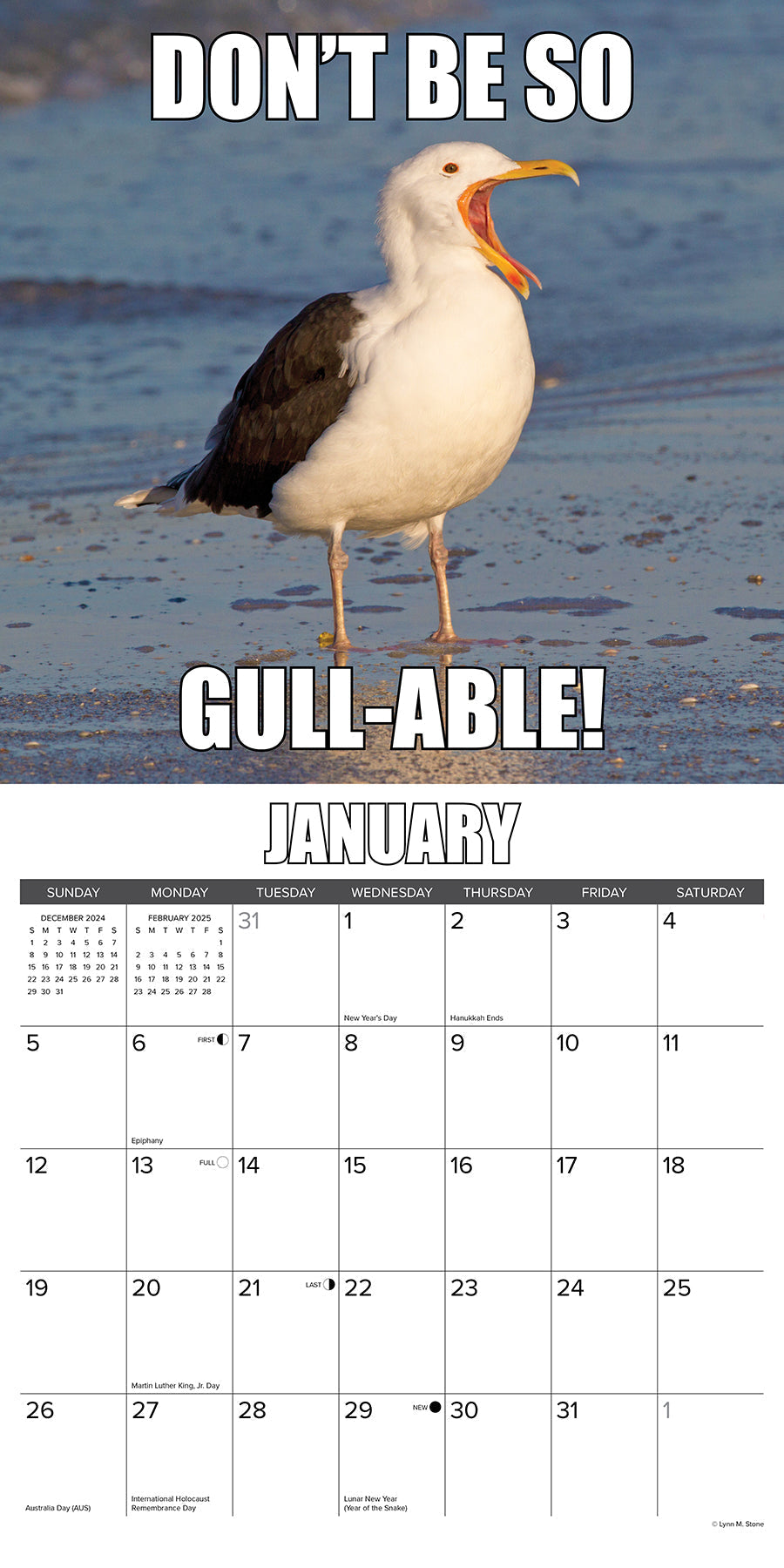 2025 Fowl Language - Square Wall Calendar