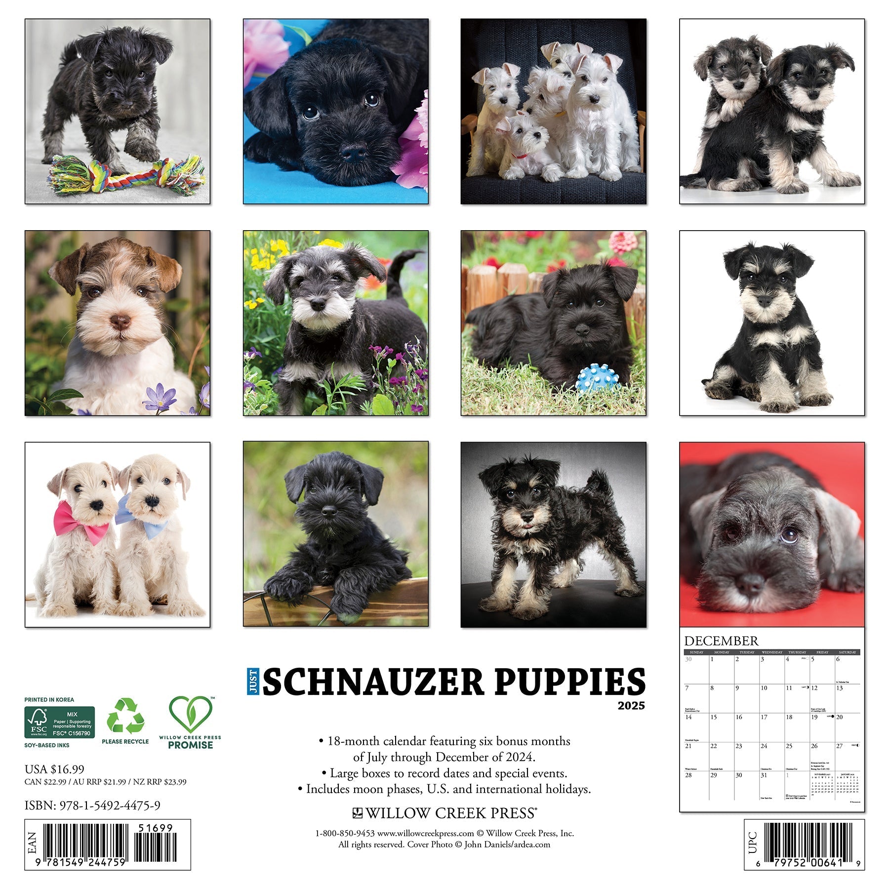 2025 Schnauzer Puppies - Square Wall Calendar