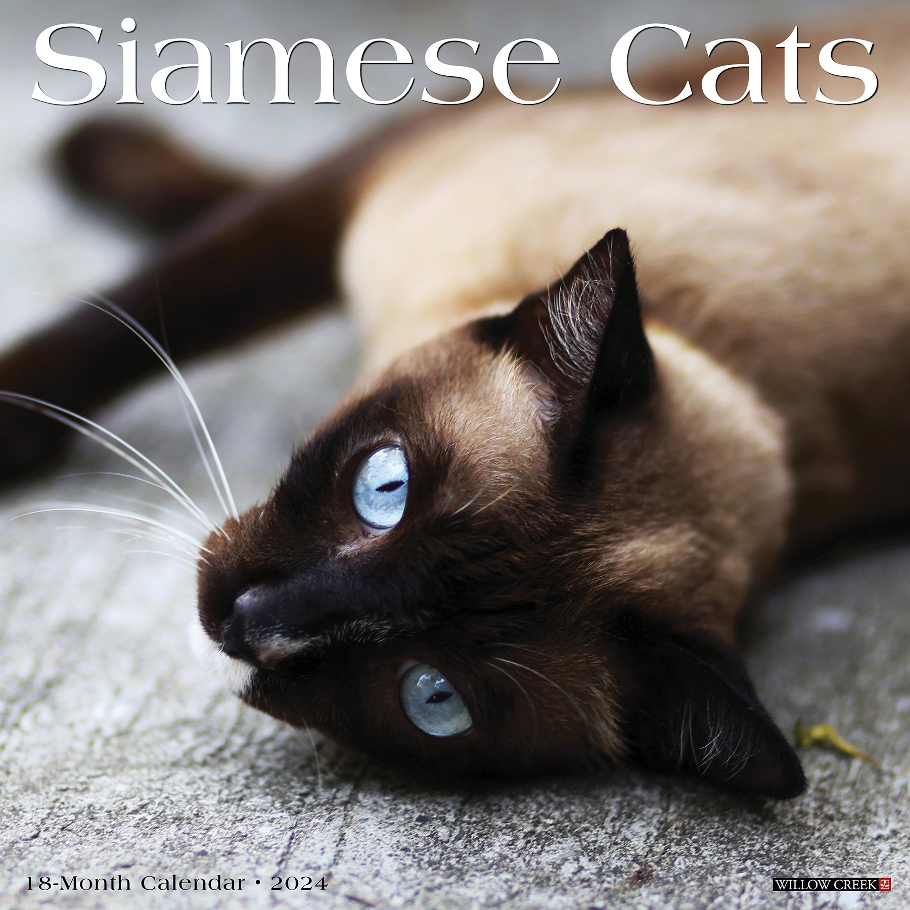 2024 Siamese Cats - Square Wall Calendar