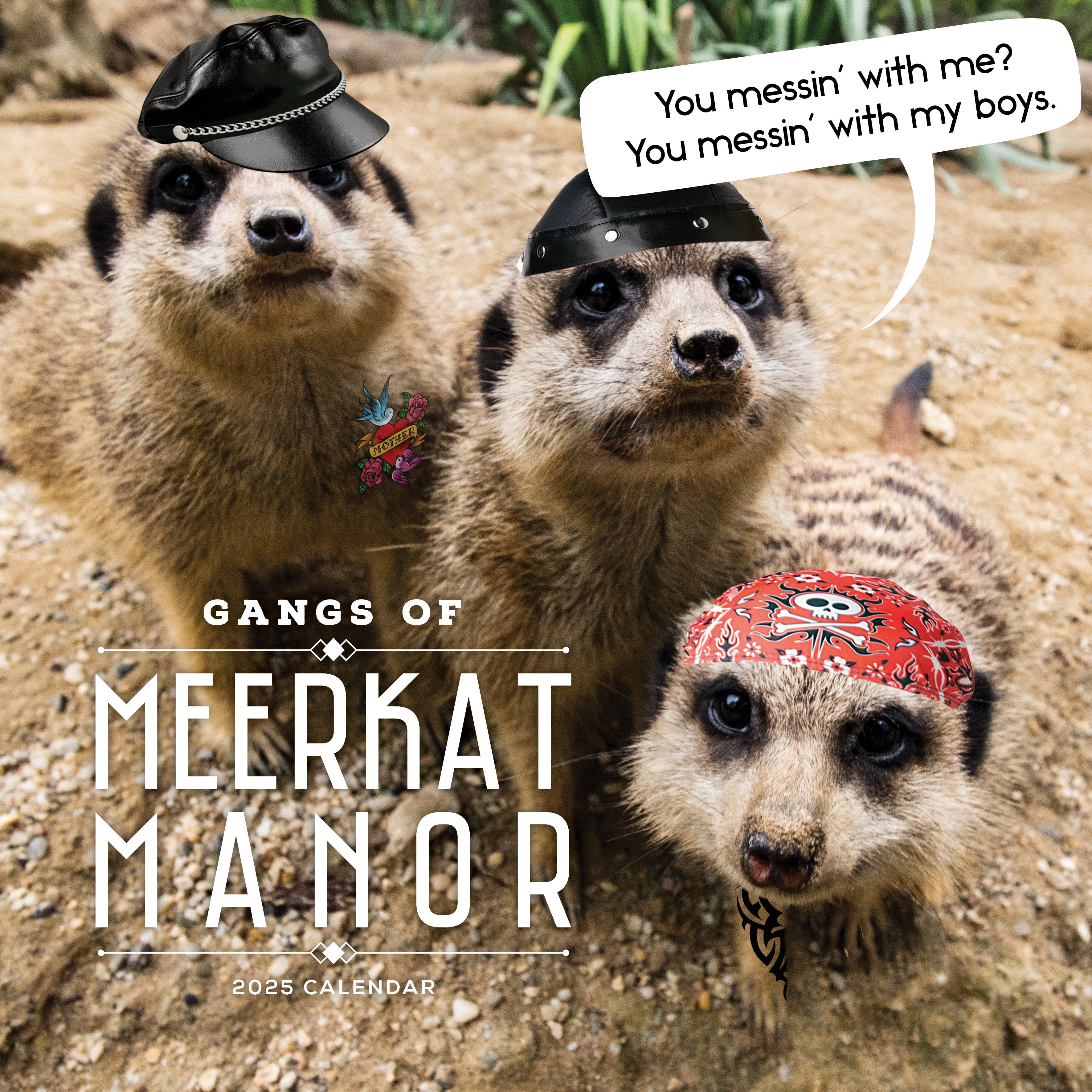 2025 Gangs Of Meerkat Manor - Square Wall Calendar