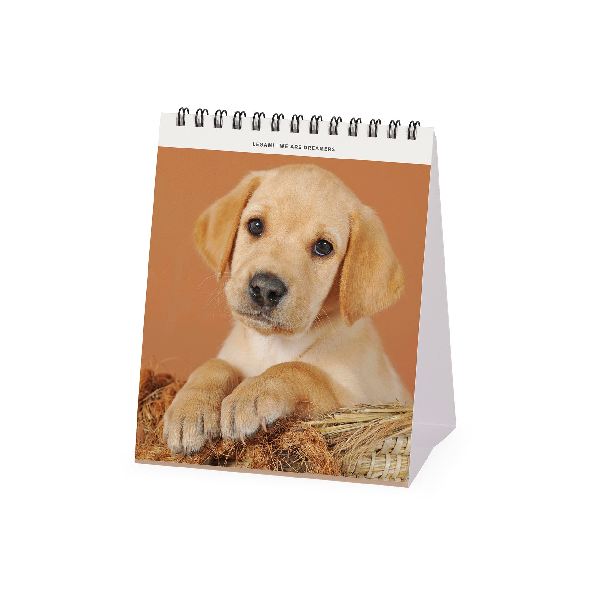 2025 Puppies by Legami - Desk Easel Calendar