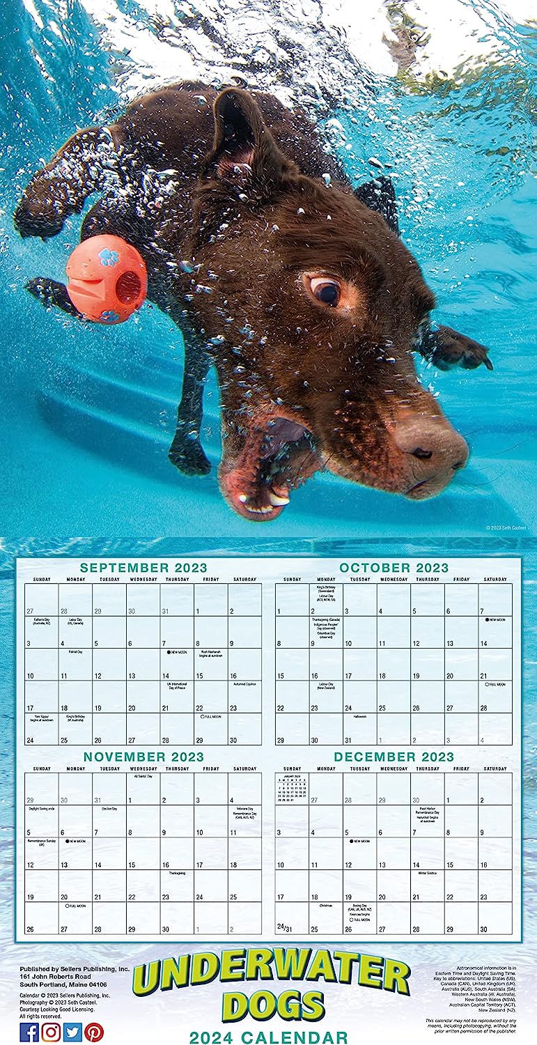 Dogs Calendar 2024 Over 100 Breeds To Choose From