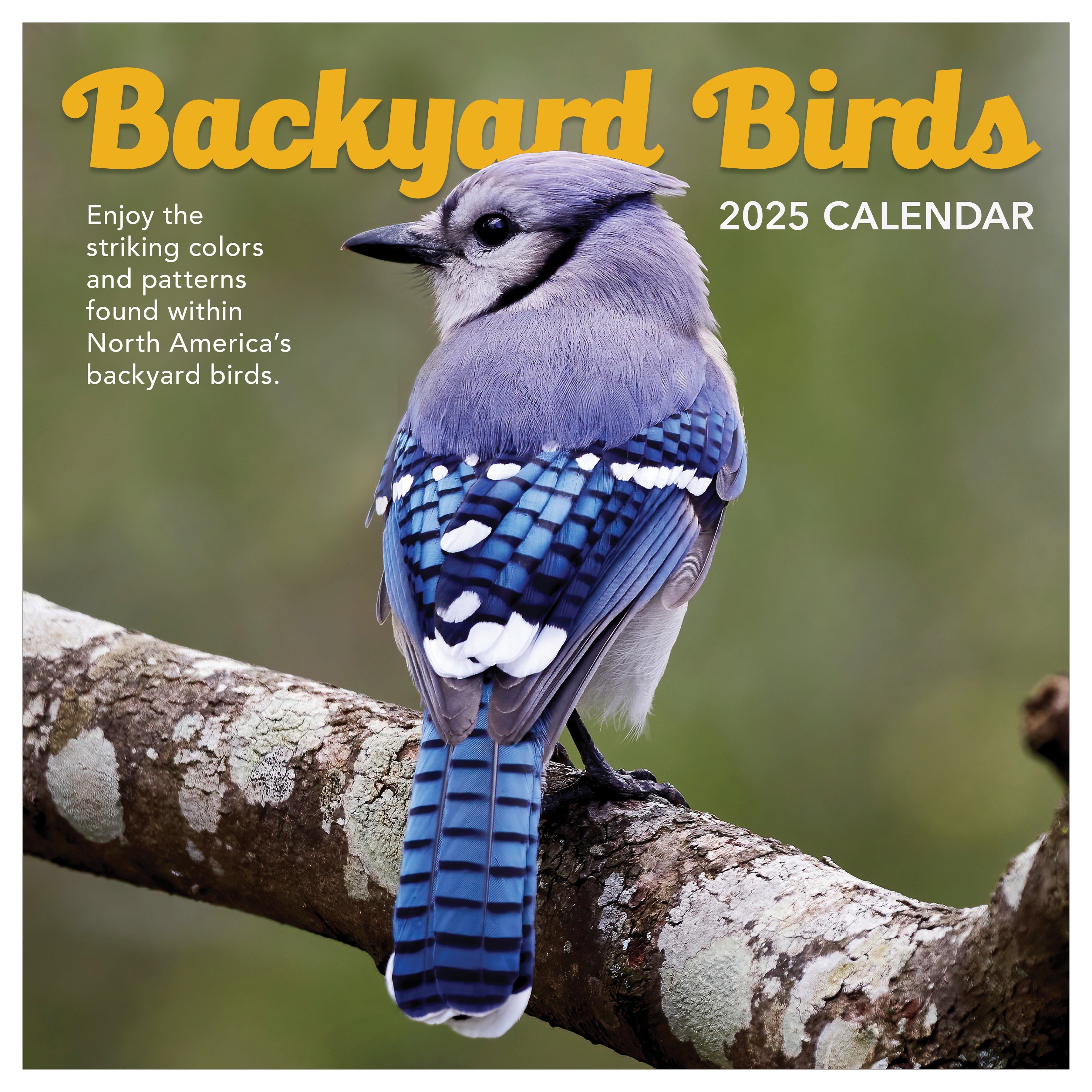 2025 Backyard Birds by TF - Square Wall Calendar