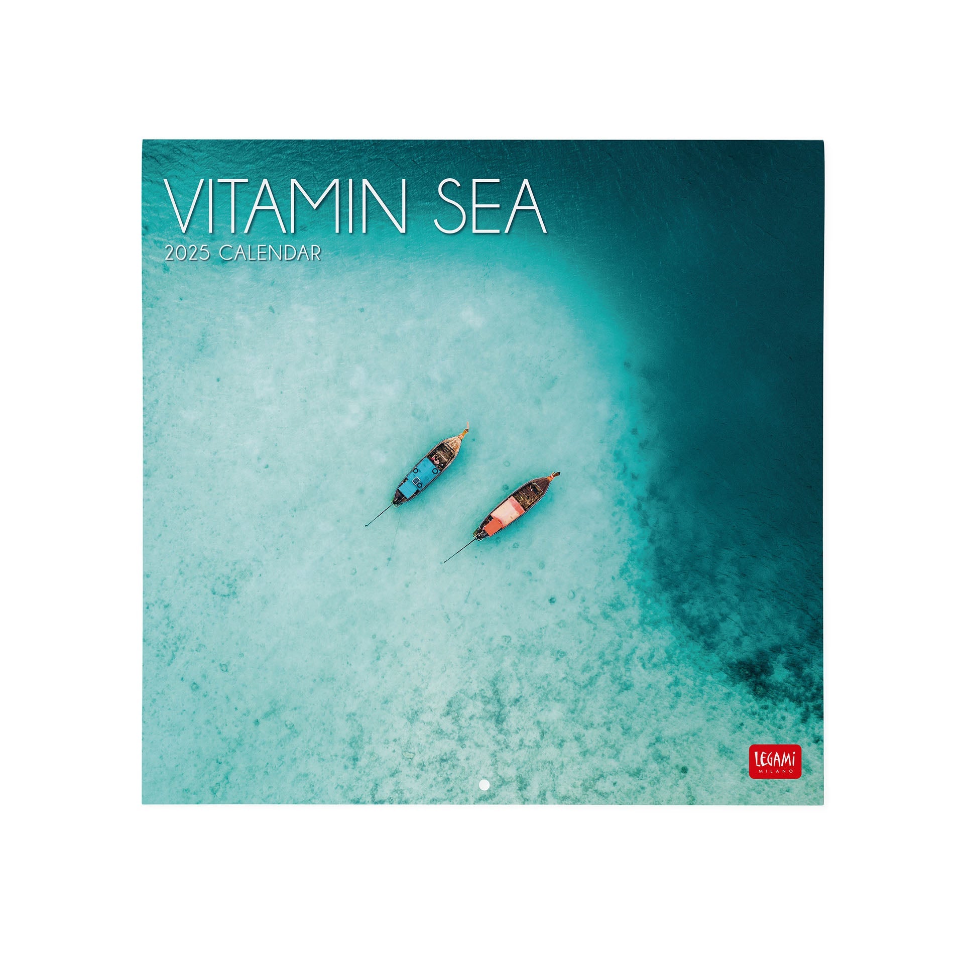 2025 Vitamin Sea - Square Wall Calendar