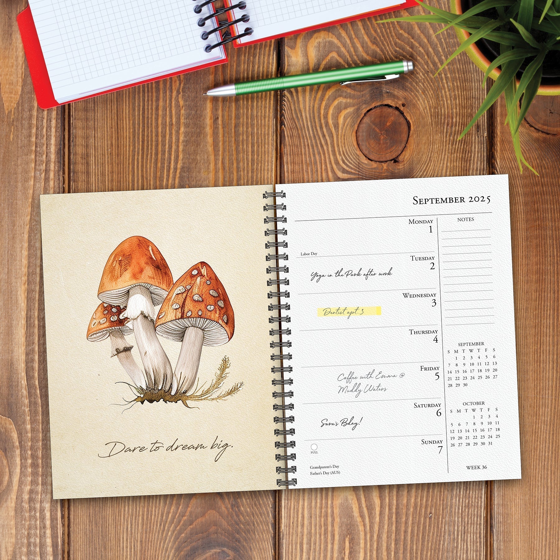 2025 Art of the Mushroom - Weekly Diary/Planner