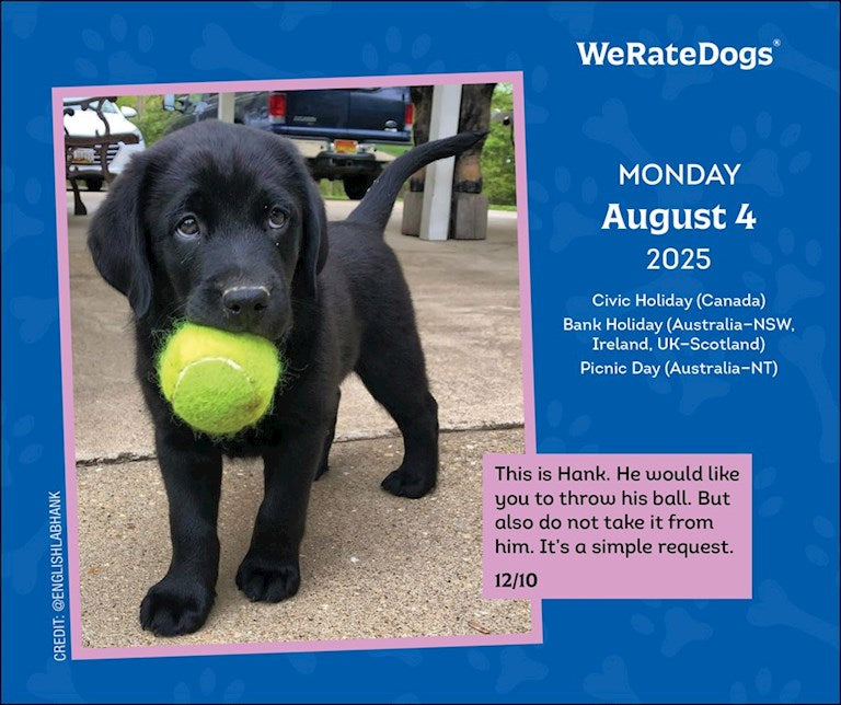 2025 WeRateDogs - Daily Boxed Page-A-Day Calendar