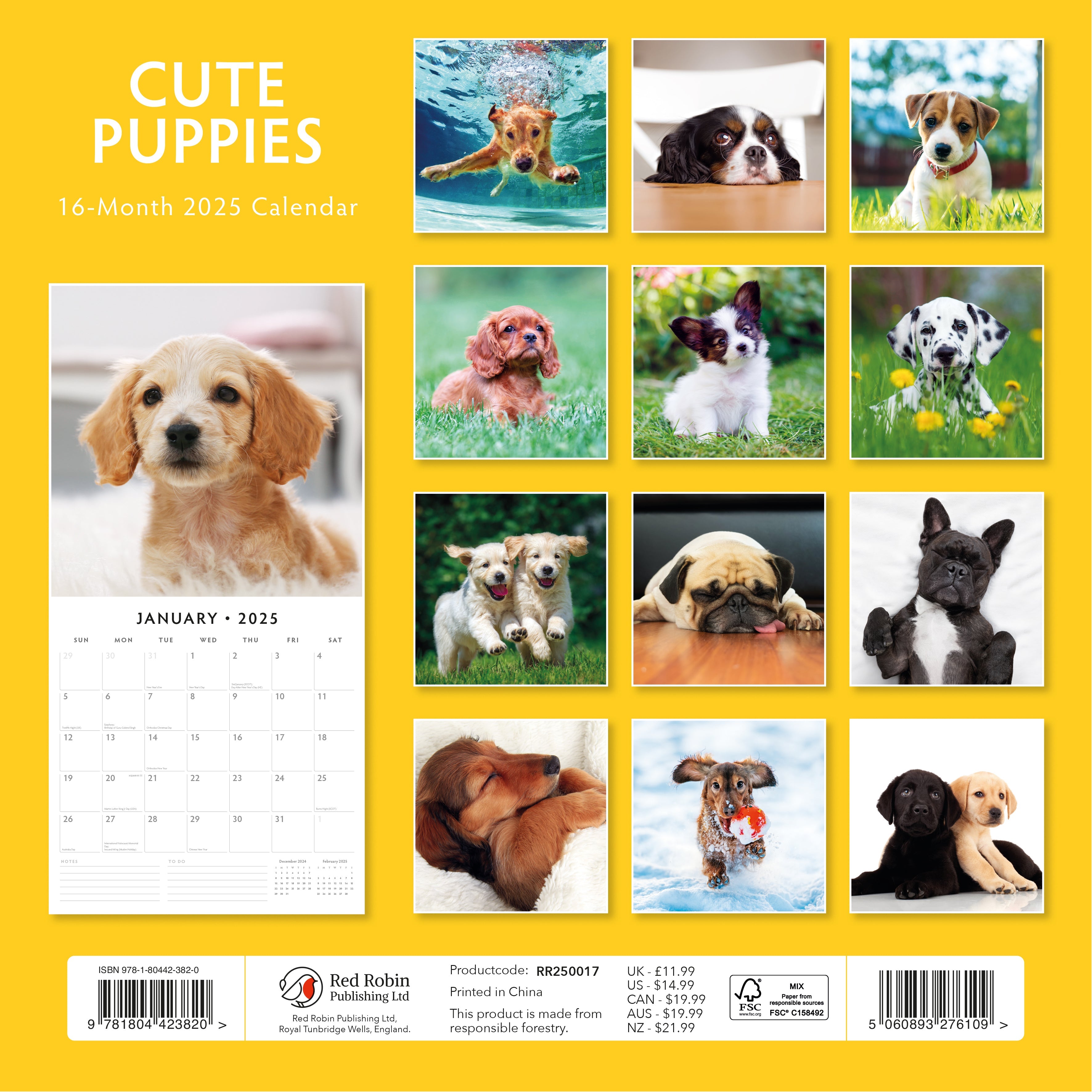 2025 Cute Puppies - Square Wall Calendar