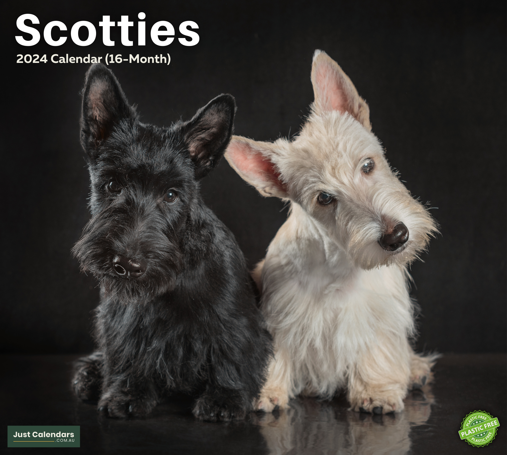 2024 Scotties (Scottish Terriers) Dogs & Puppies - Deluxe Wall Calendar by Just Calendars - 16 Month - Plastic Free