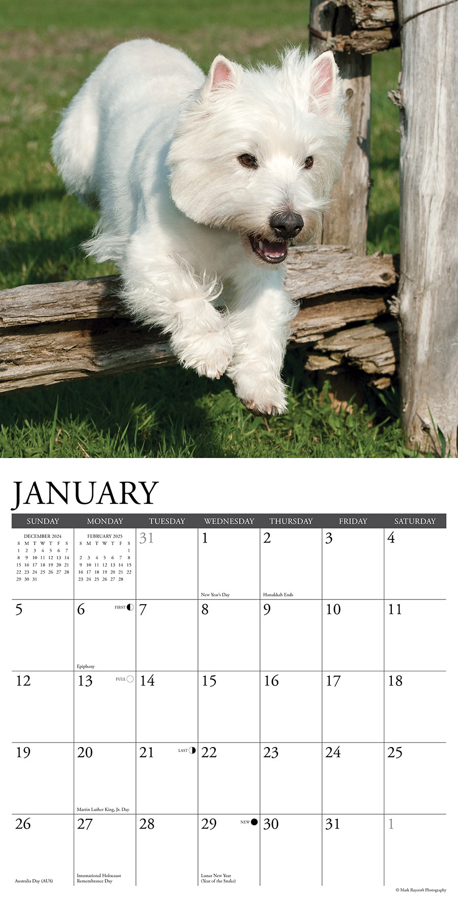 2025 Westies - Square Wall Calendar