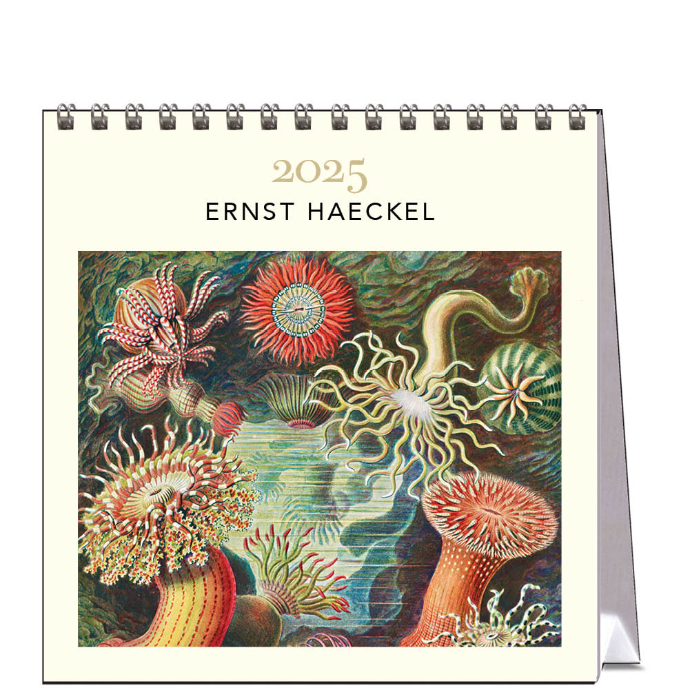 2025 Ernst Haeckel - Desk Easel Calendar