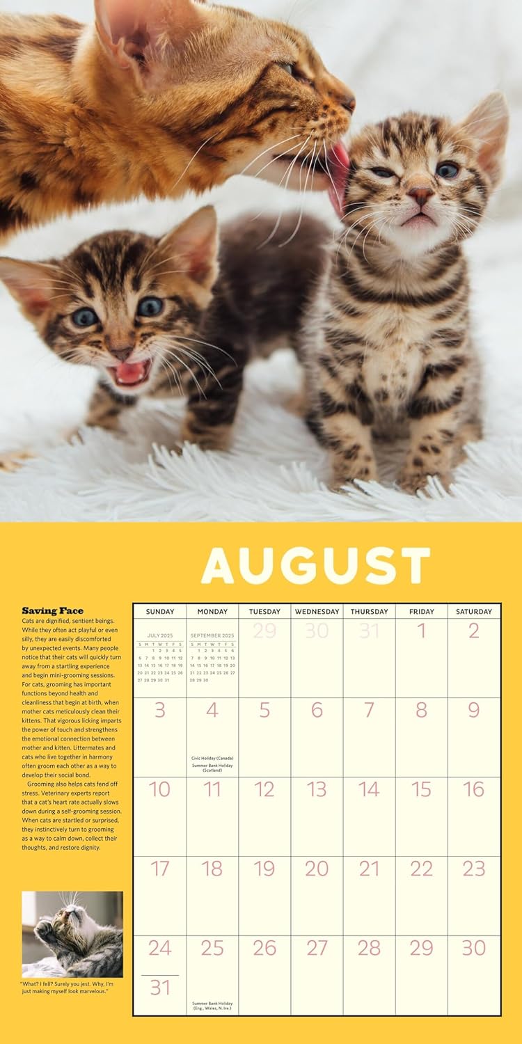 2025 How to Speak Cat - Square Wall Calendar