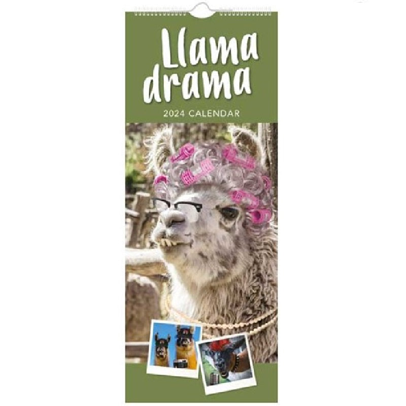 2024 Llama Drama Super - Slim Wall Calendar  SOLD OUT