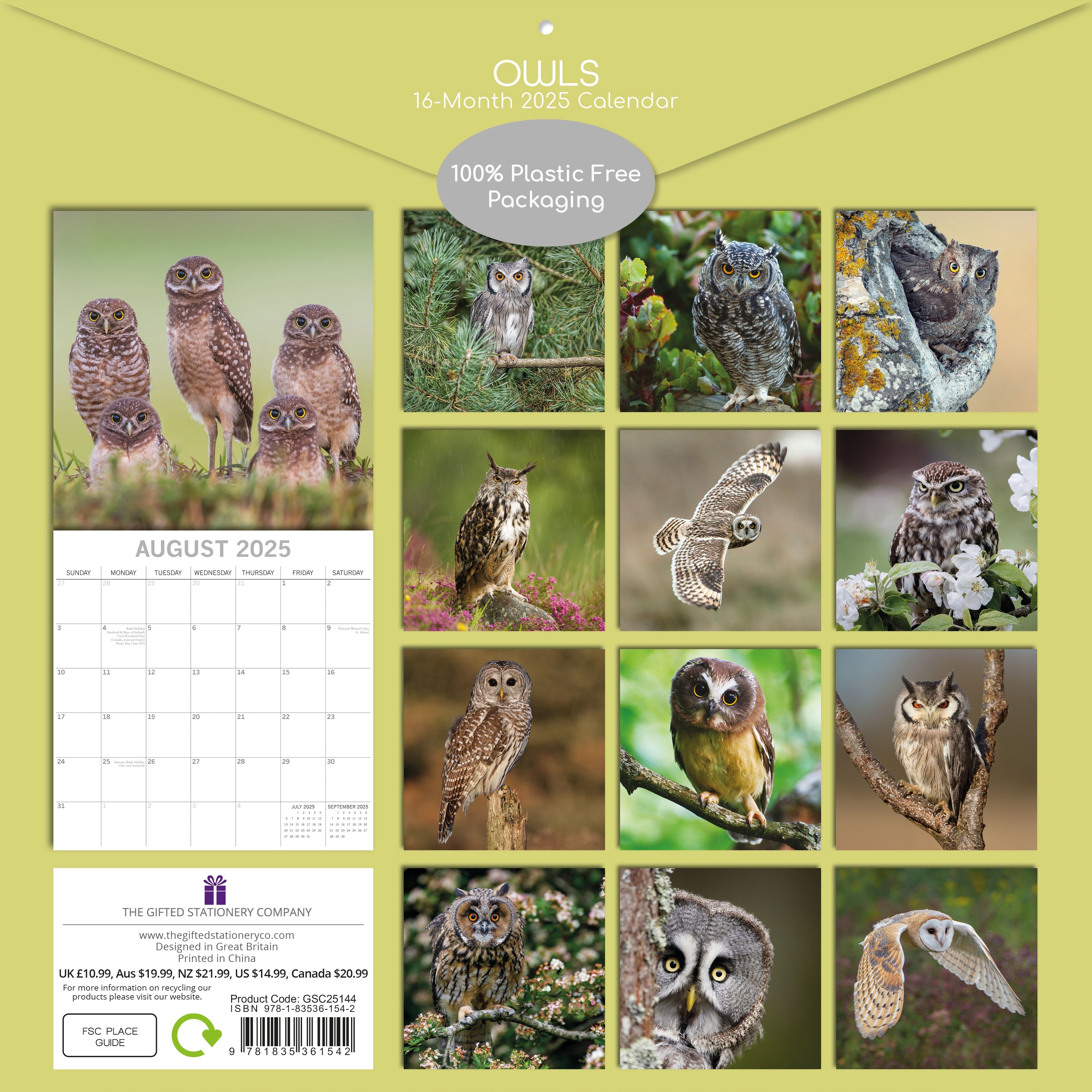 2025 Owls - Square Wall Calendar