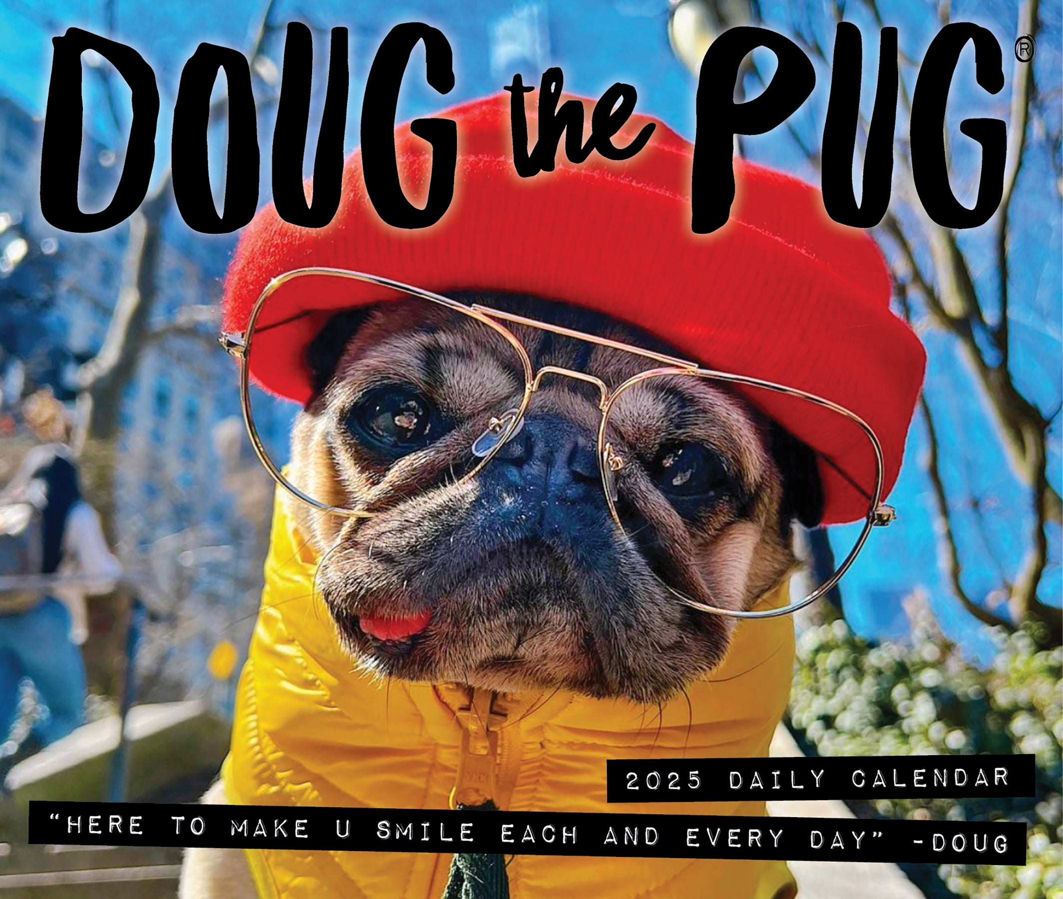 2025 Doug the Pug - USA - Daily Boxed Page-A-Day Calendar