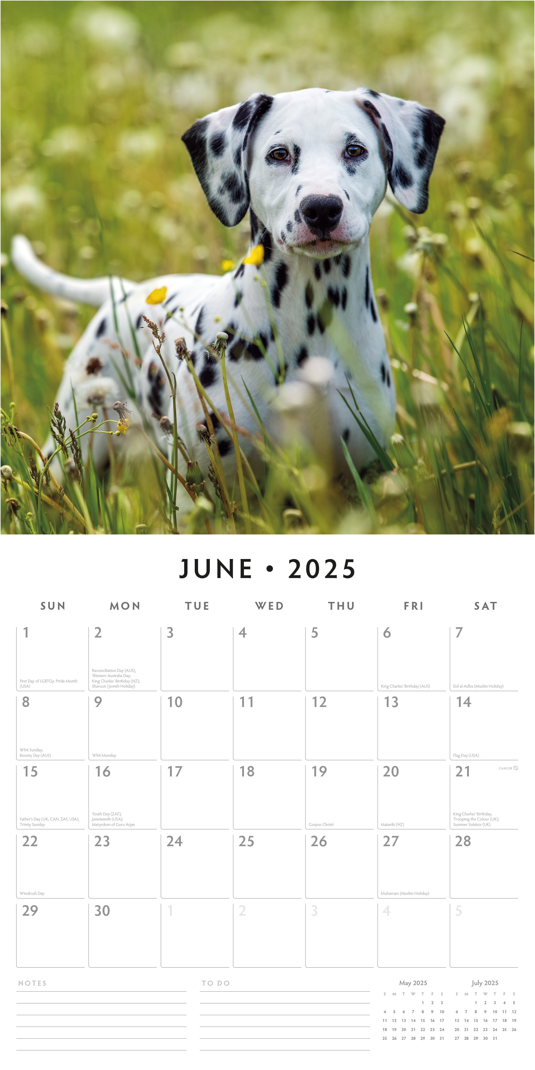 2025 Dalmatians - Square Wall Calendar