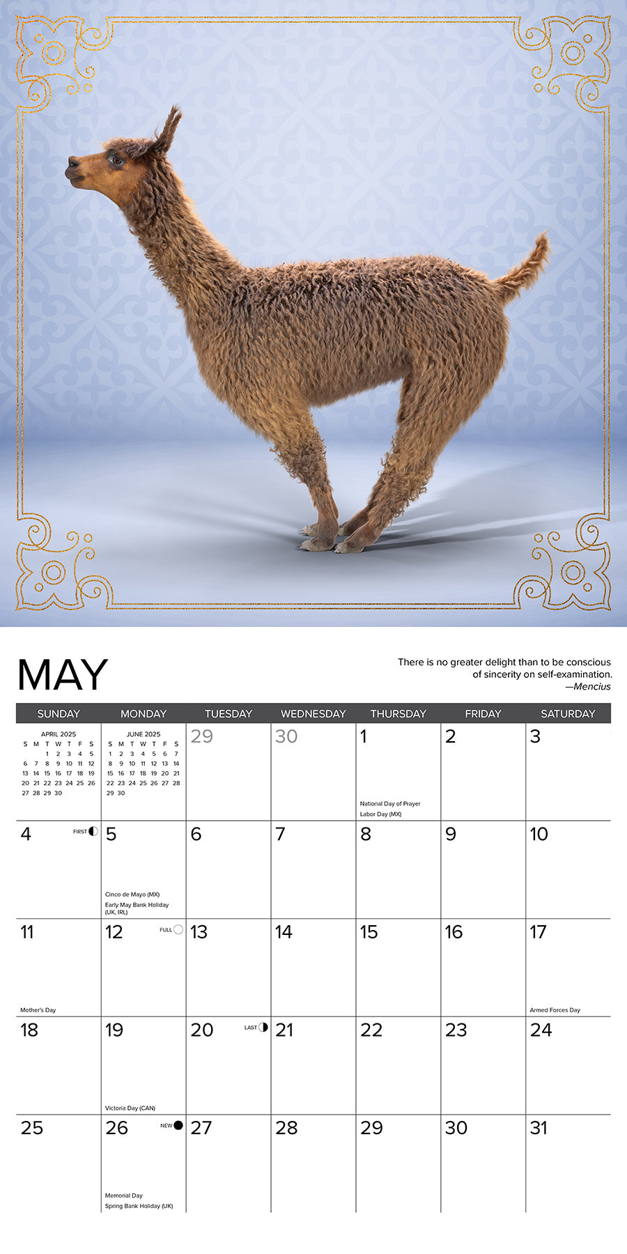 2025 Llama Yoga - Square Wall Calendar