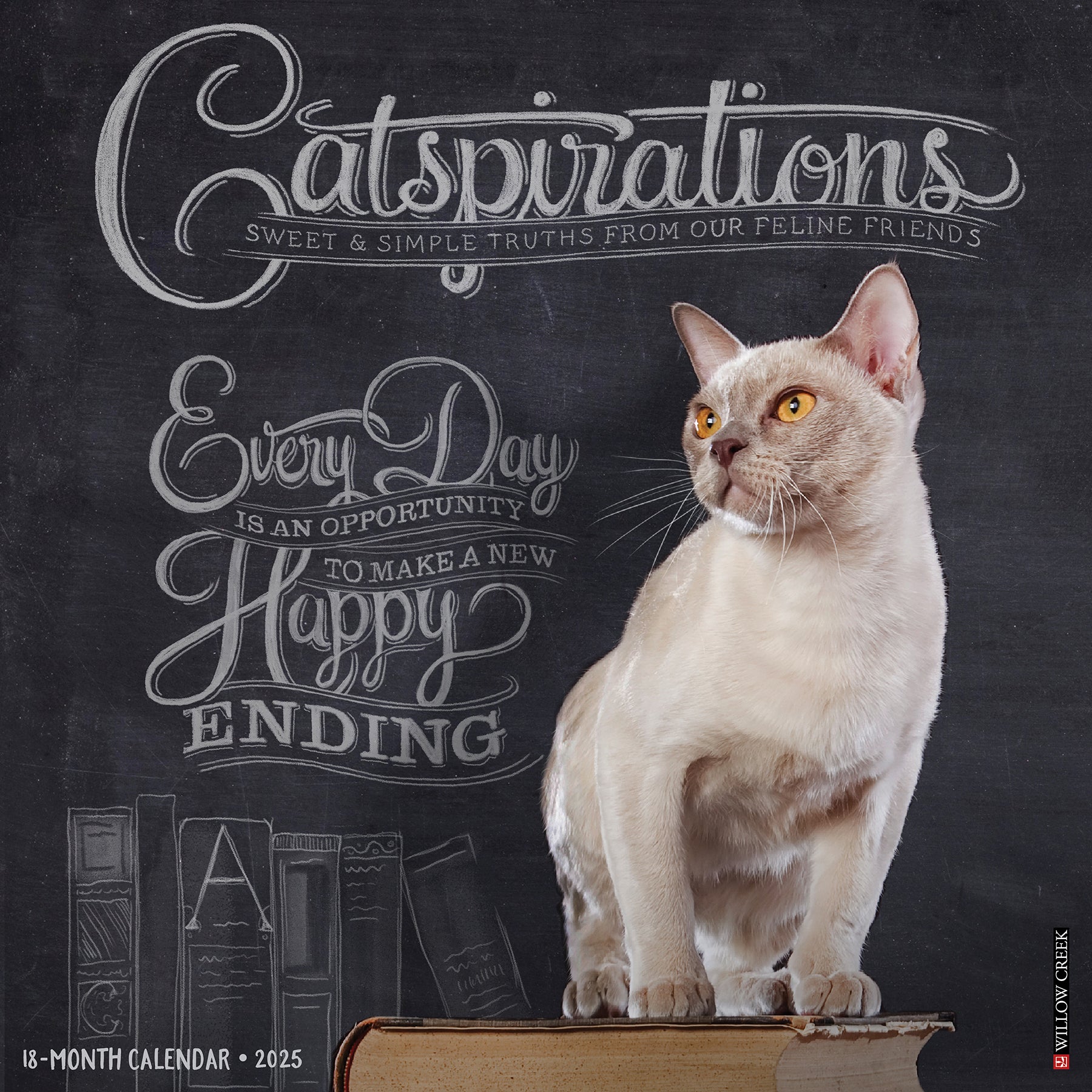 2025 Catspirations - Square Wall Calendar