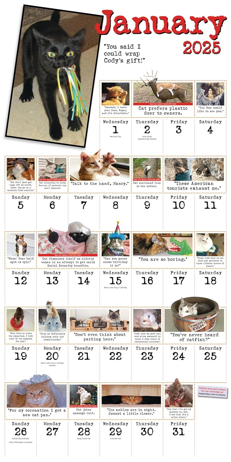 2025 Bad Cat - Square Wall Calendar