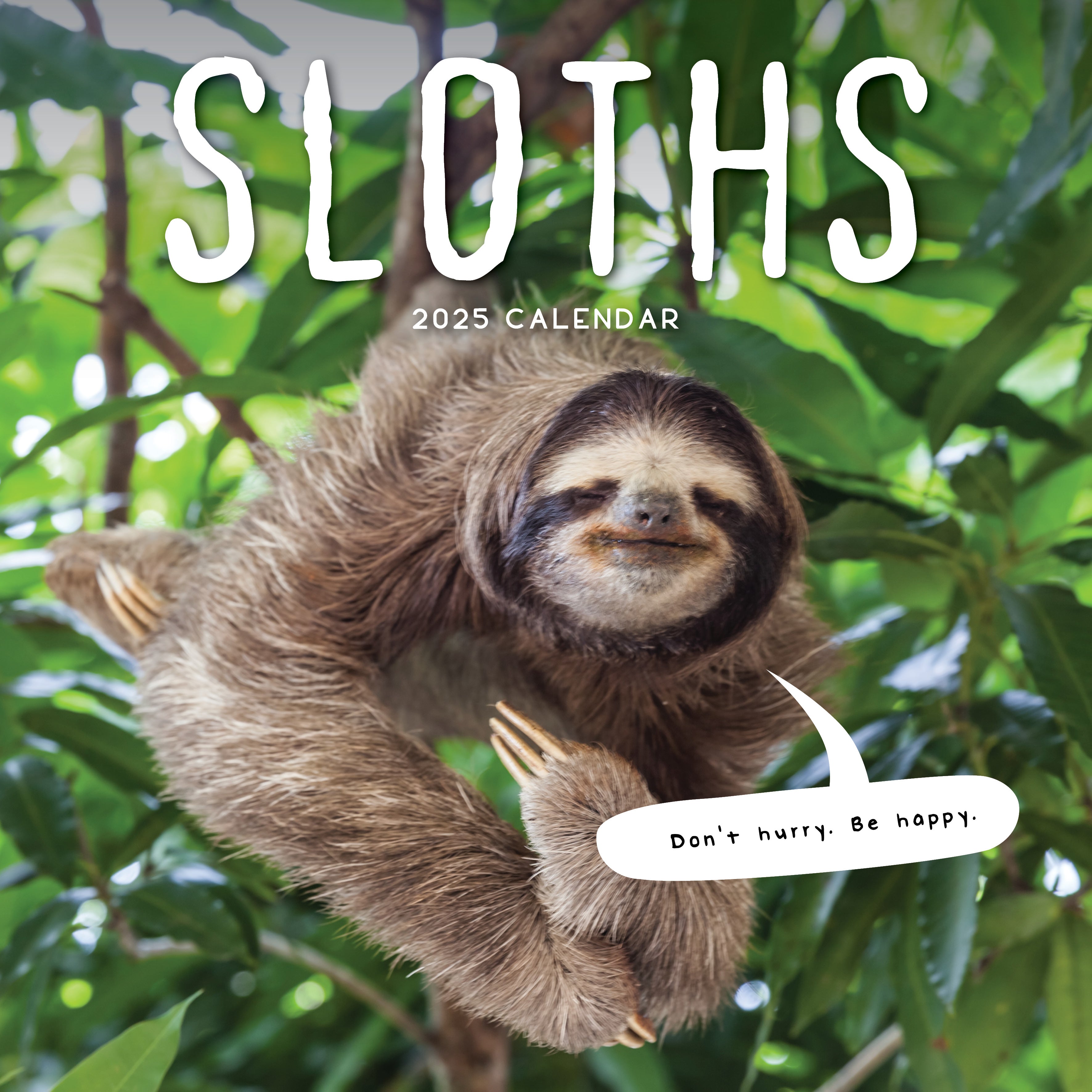 2025 Sloths - Square Wall Calendar