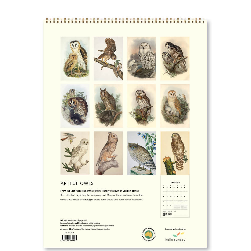 2024 Artful Owls - Deluxe Wall Calendar