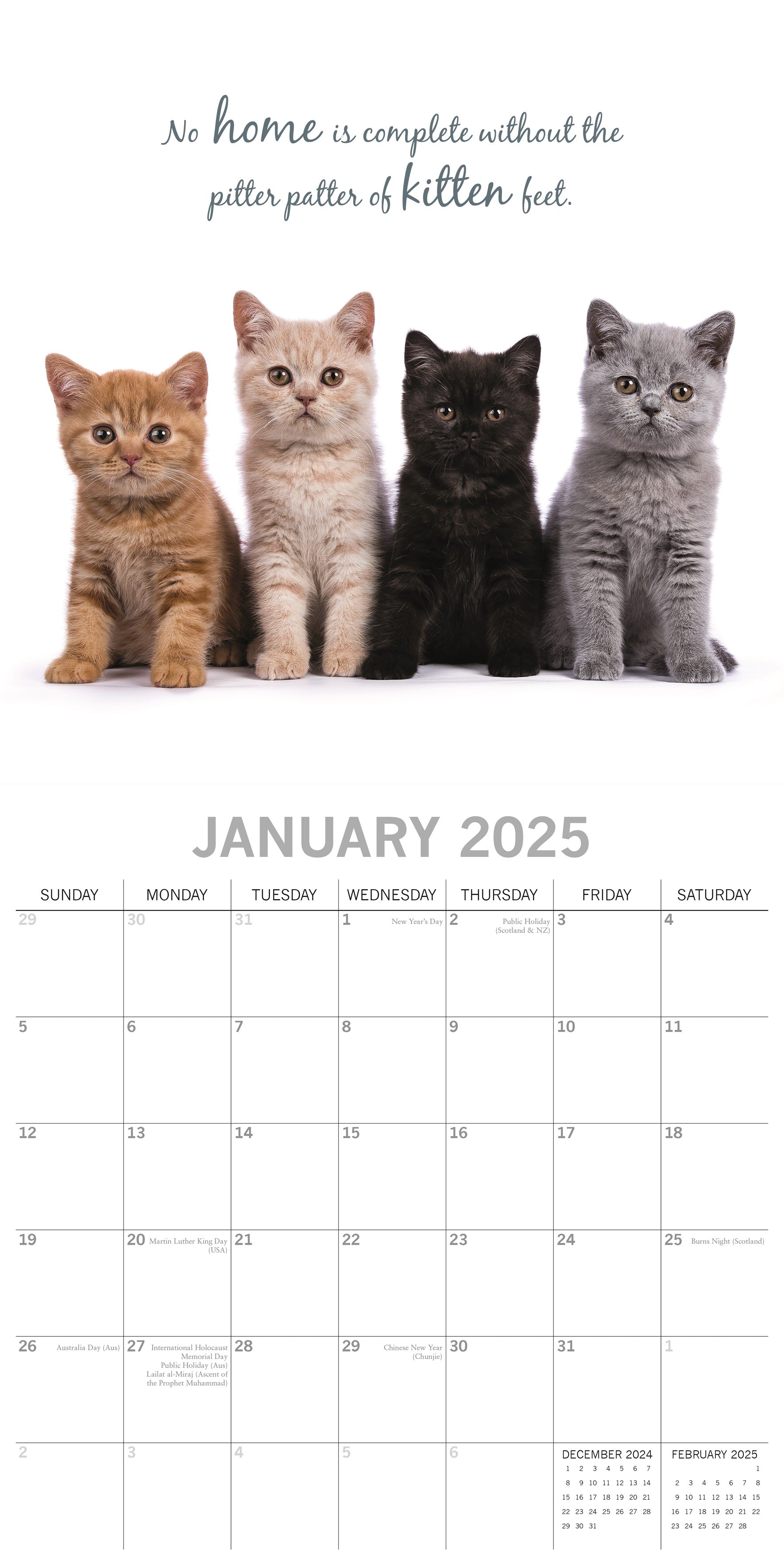 2025 Cute Kittens - Square Wall Calendar