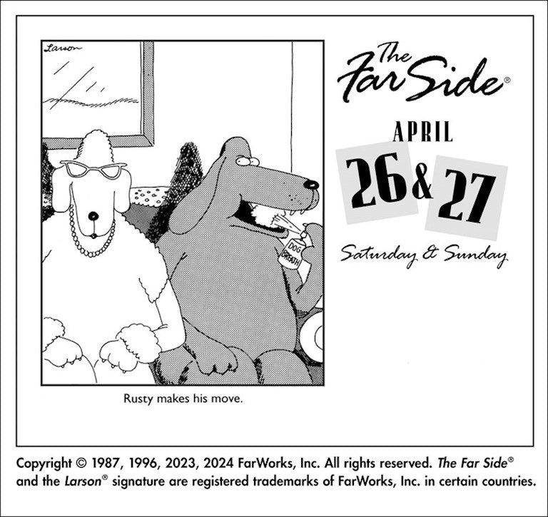 2025 Far Side Off-the-Wall - Daily Boxed Page-A-Day Calendar