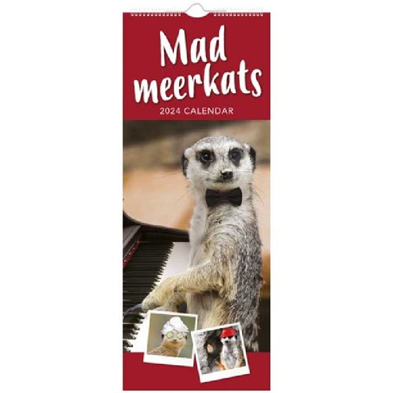 2024 Mad Meerkats Super - Slim Wall Calendar  SOLD OUT