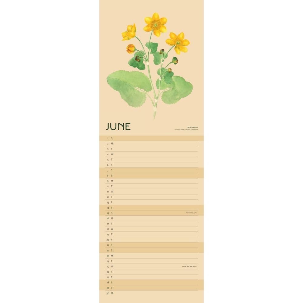 2025 Royal Horticultural Society Fruit And Flowers - Slim Wall Calendar