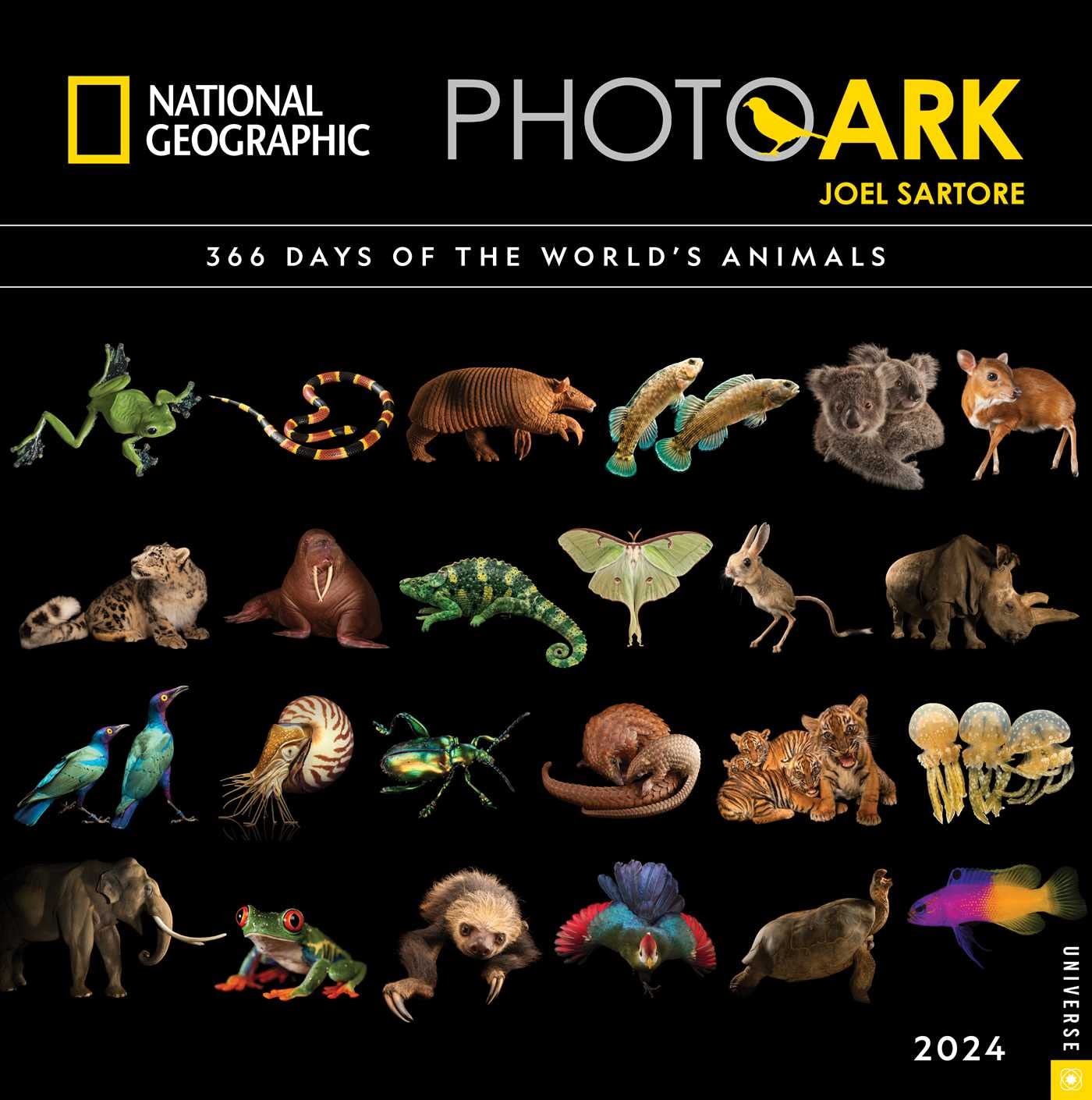 2024 Photo Ark: National Geographic - Square Wall Calendar  SOLD OUT