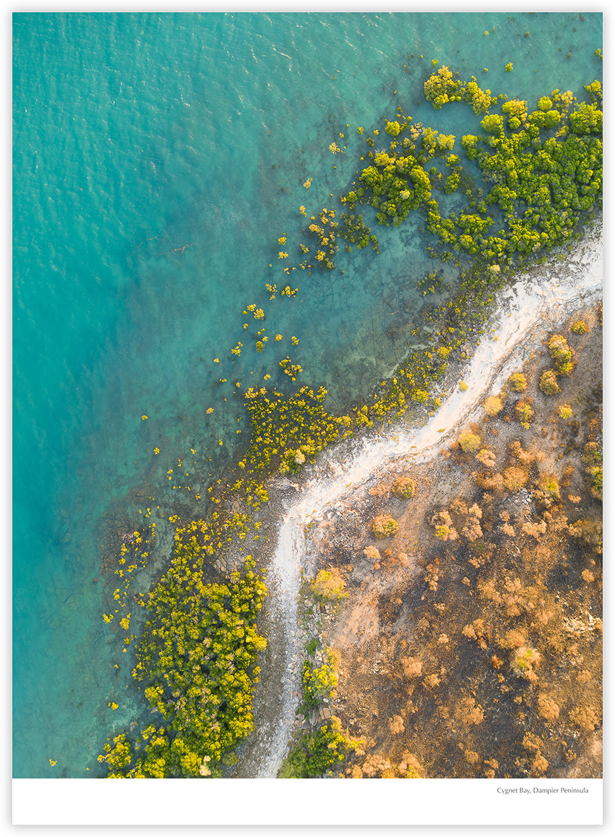 Broome & Beyond 2027 calendar photograph: Cygnet Bay mangroves and coastline on the Dampier Peninsula
