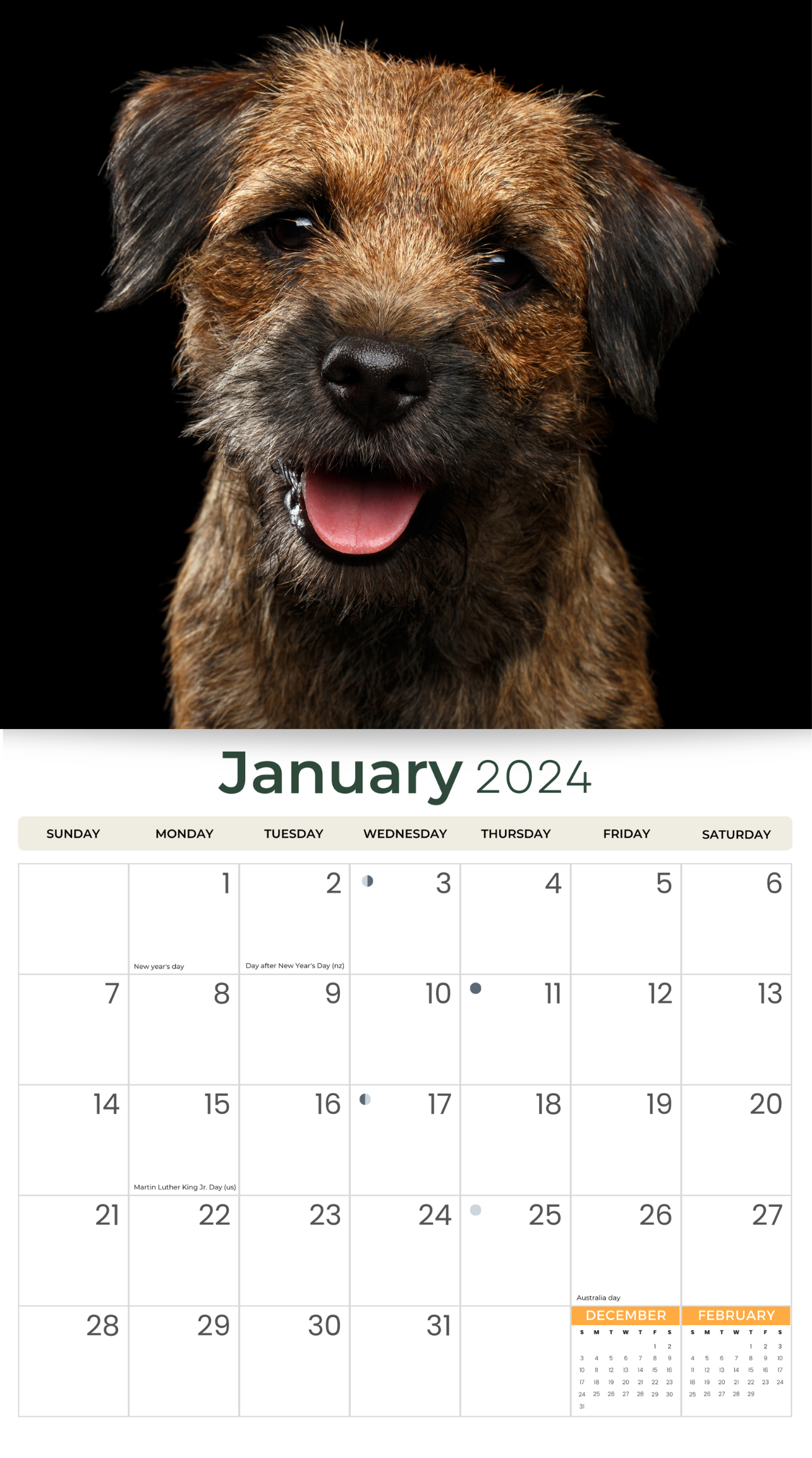 2024 Border Terriers Deluxe Wall Calendar Dogs & Puppies Calendars